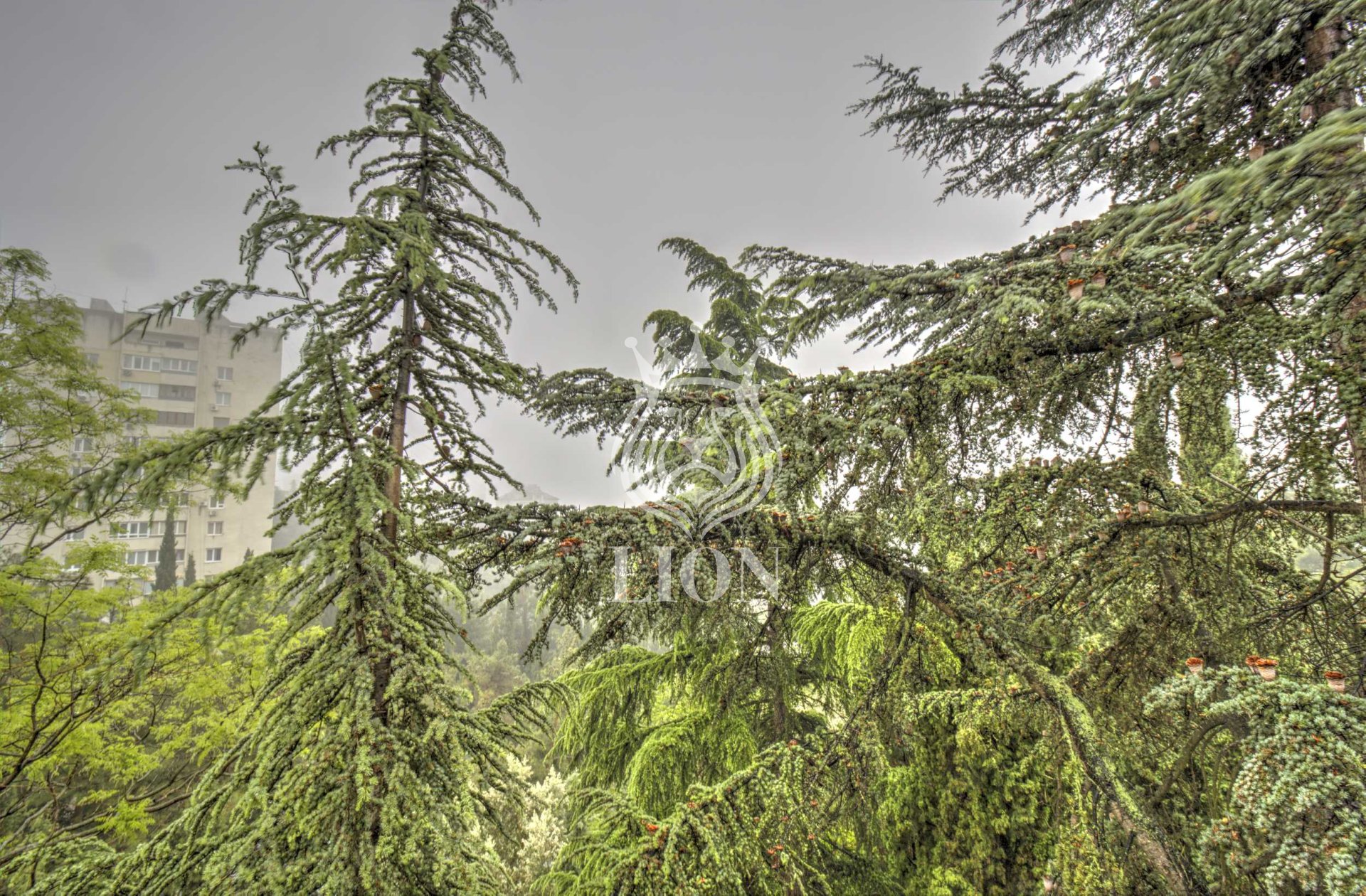 2-к квартира 56 м² 5/5 эт., Фрунзенское шоссе — фото 17