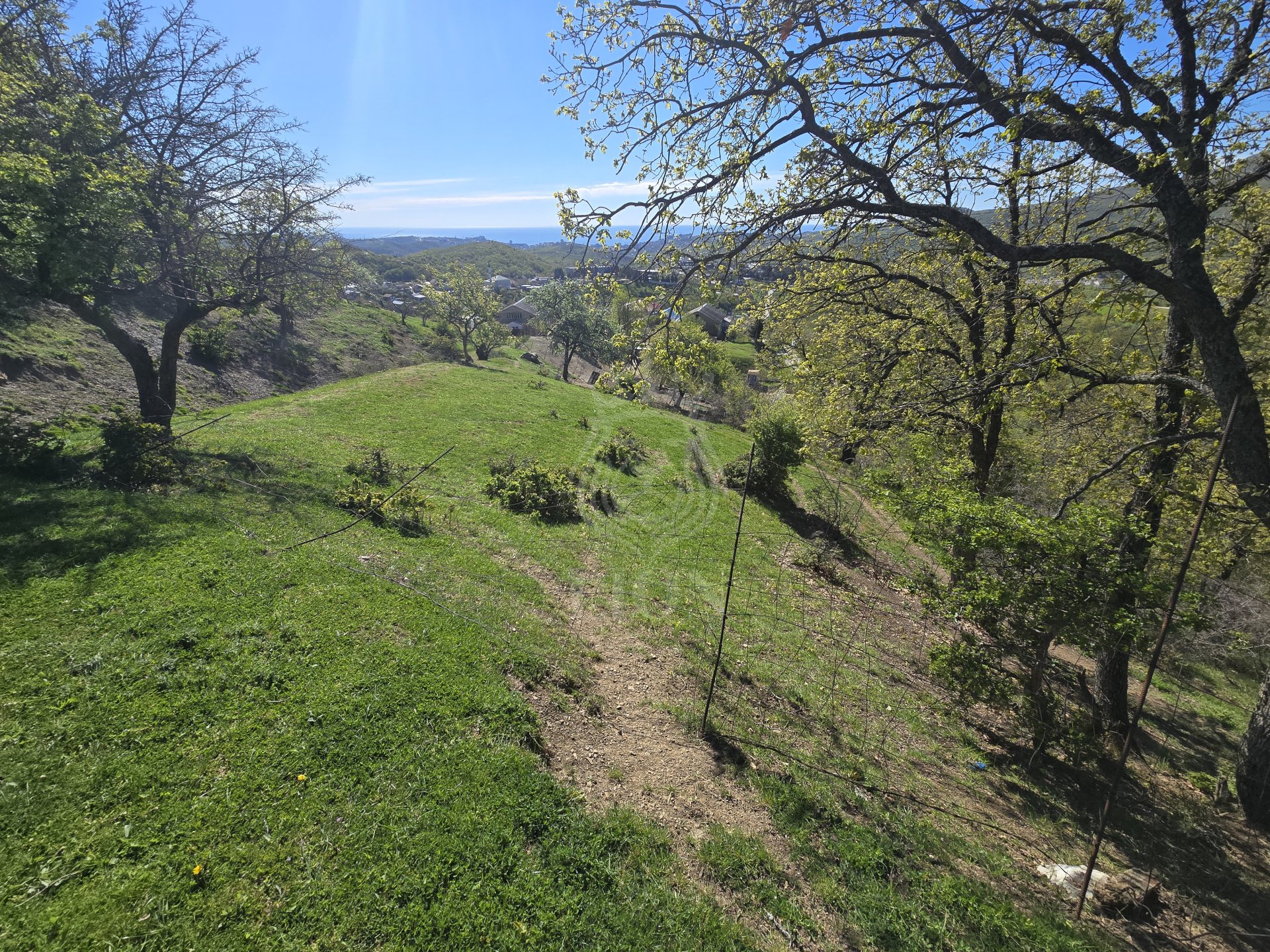 Участок 10 сот. ИЖС, Изобильное — фото 3