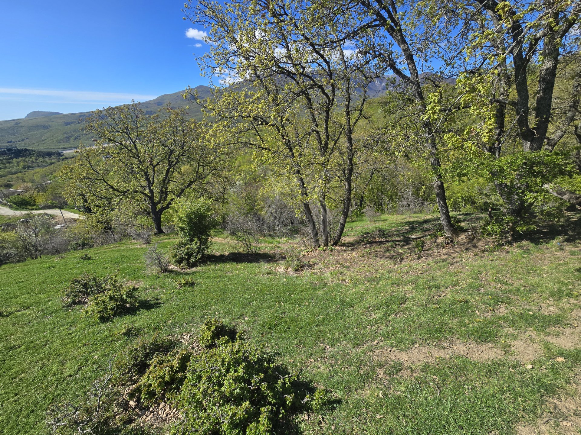 Участок 10 сот. ИЖС, Изобильное — фото 6