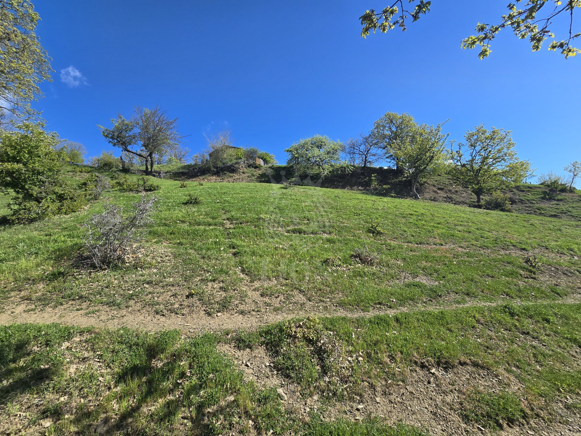 Участок 10 сот. ИЖС, Изобильное — фото 7