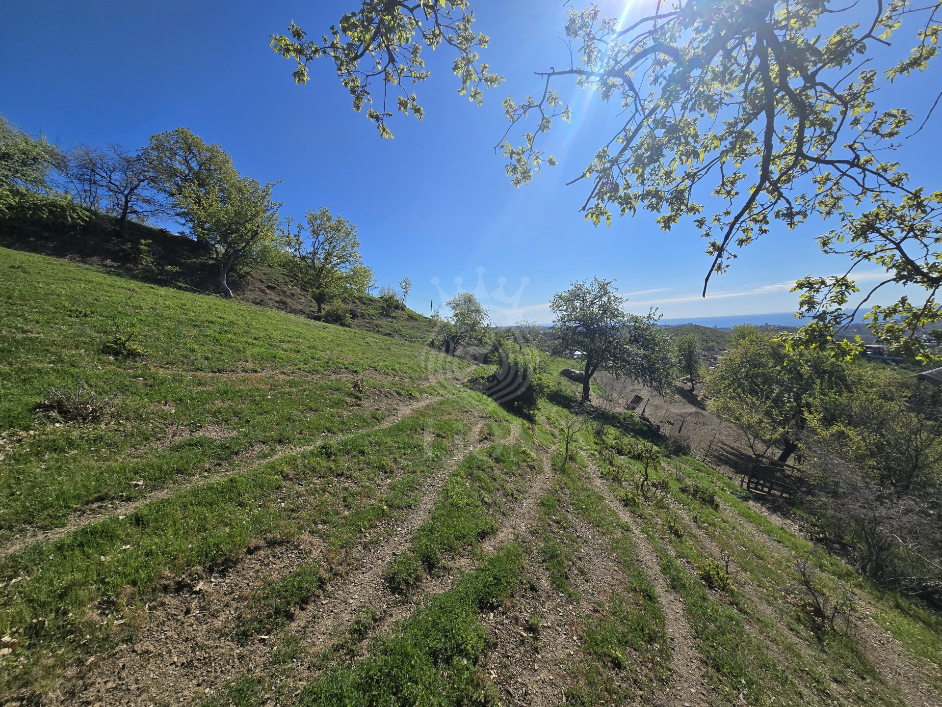 Участок 10 сот. ИЖС, Изобильное — фото 8