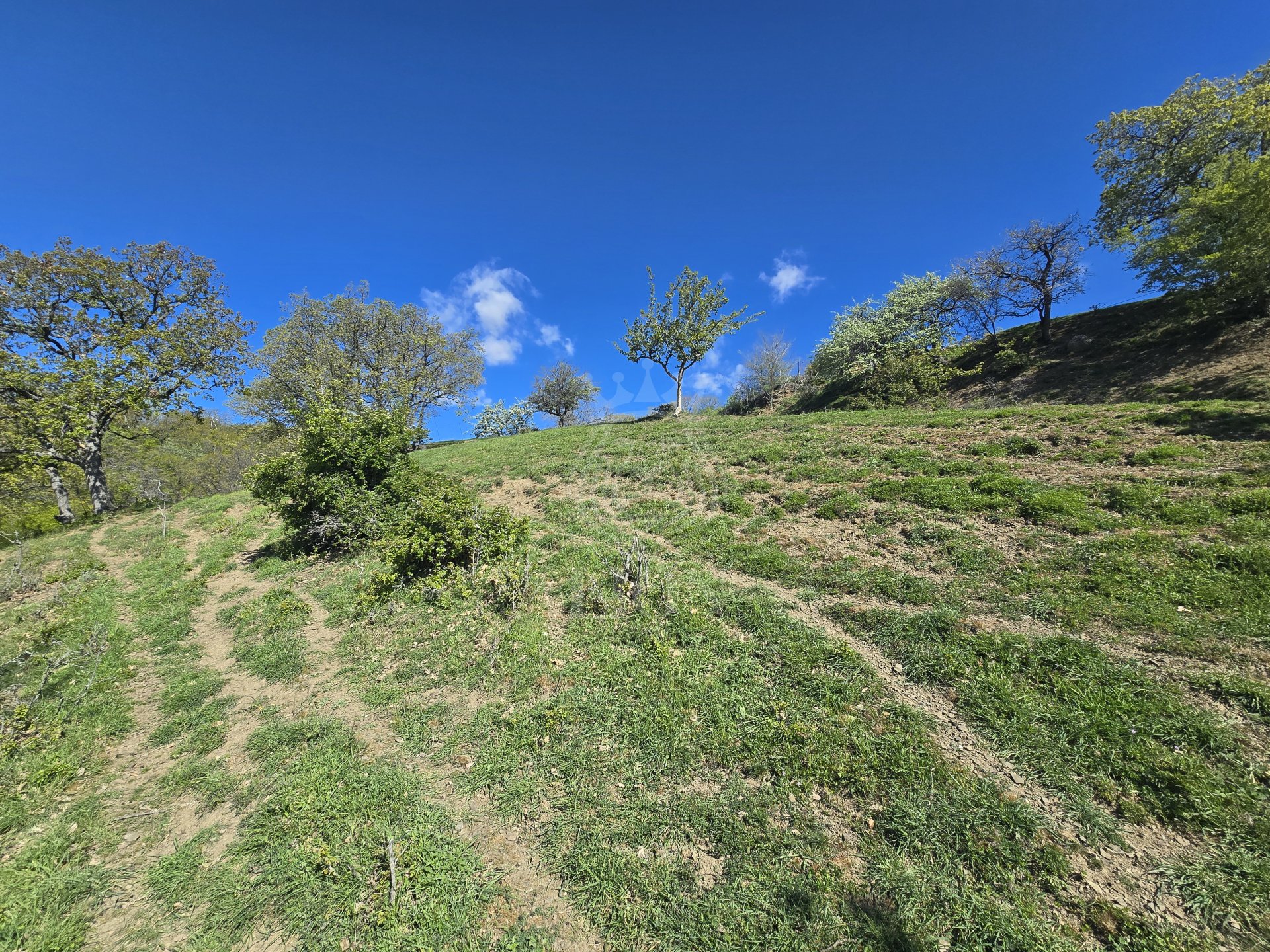 Участок 10 сот. ИЖС, Изобильное — фото 9