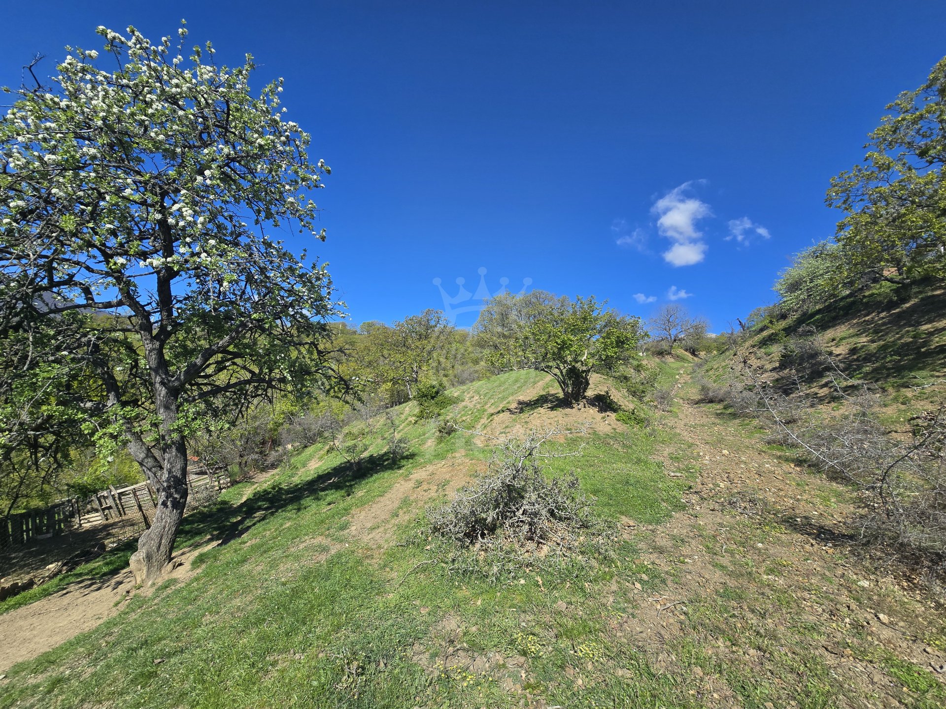 Участок 10 сот. ИЖС, Изобильное — фото 10