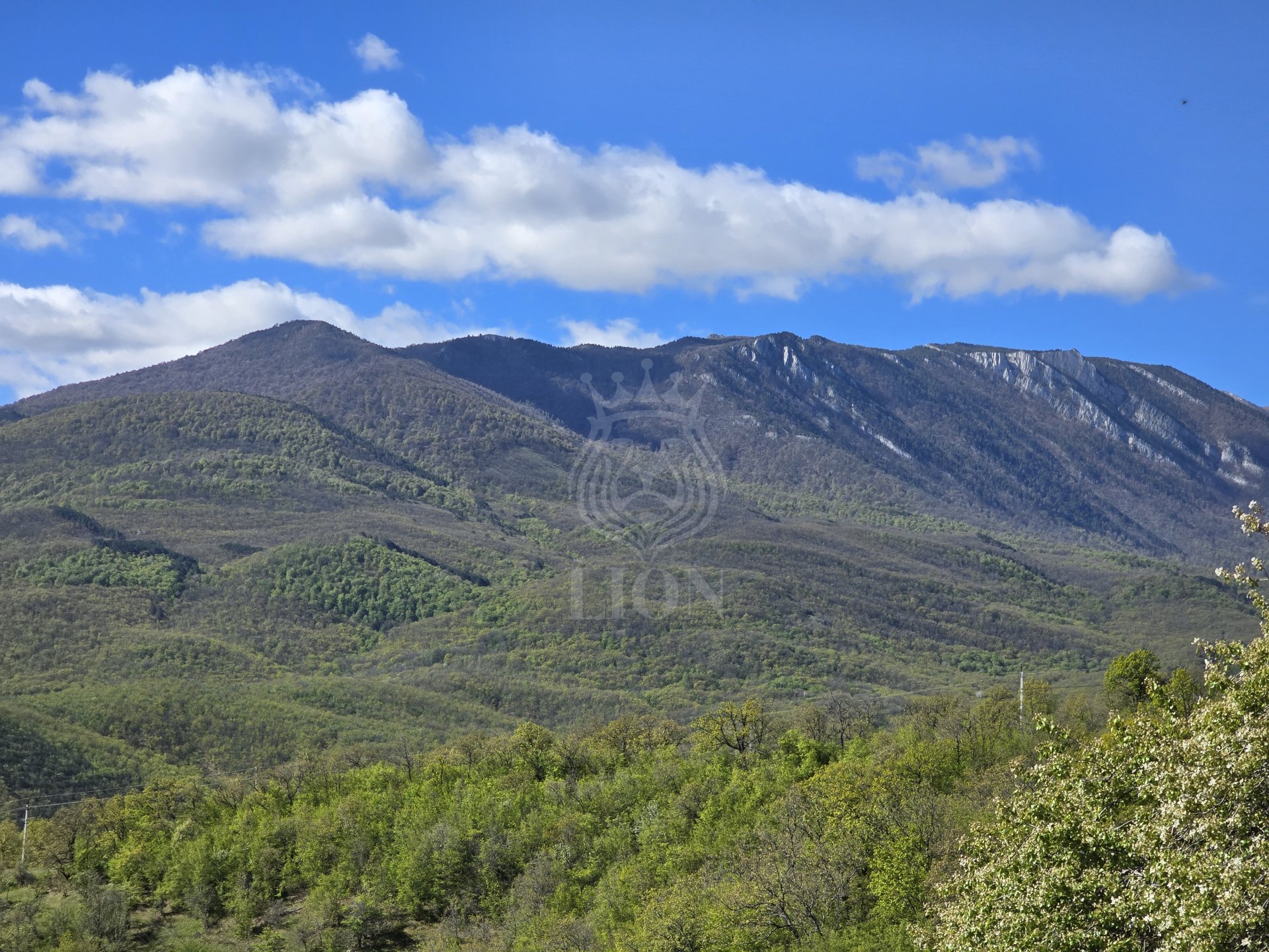 Участок 10 сот. ИЖС, Изобильное — фото 13