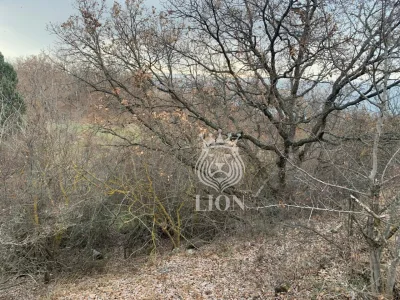 Участок 5 сот. ИЖС, Приветное