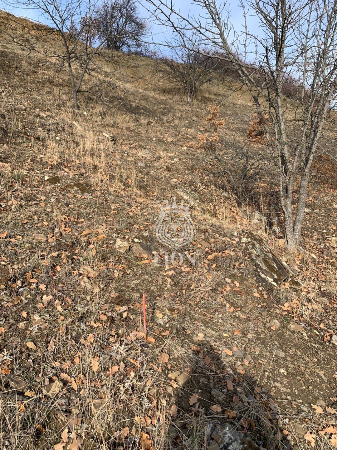 Участок 5 сот. ИЖС, Приветное — фото 4