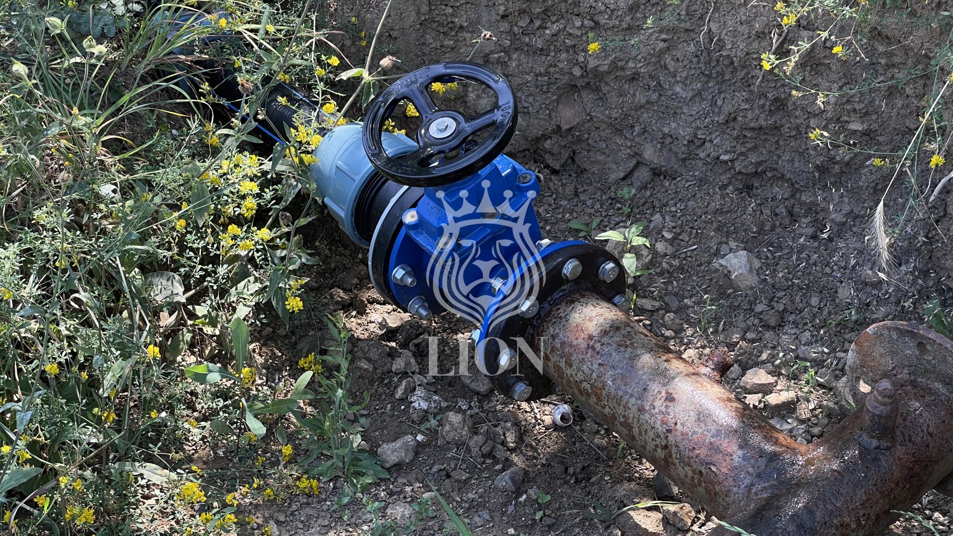 Участок 3.9 сот. ИЖС, Нижняя Кутузовка — фото 12