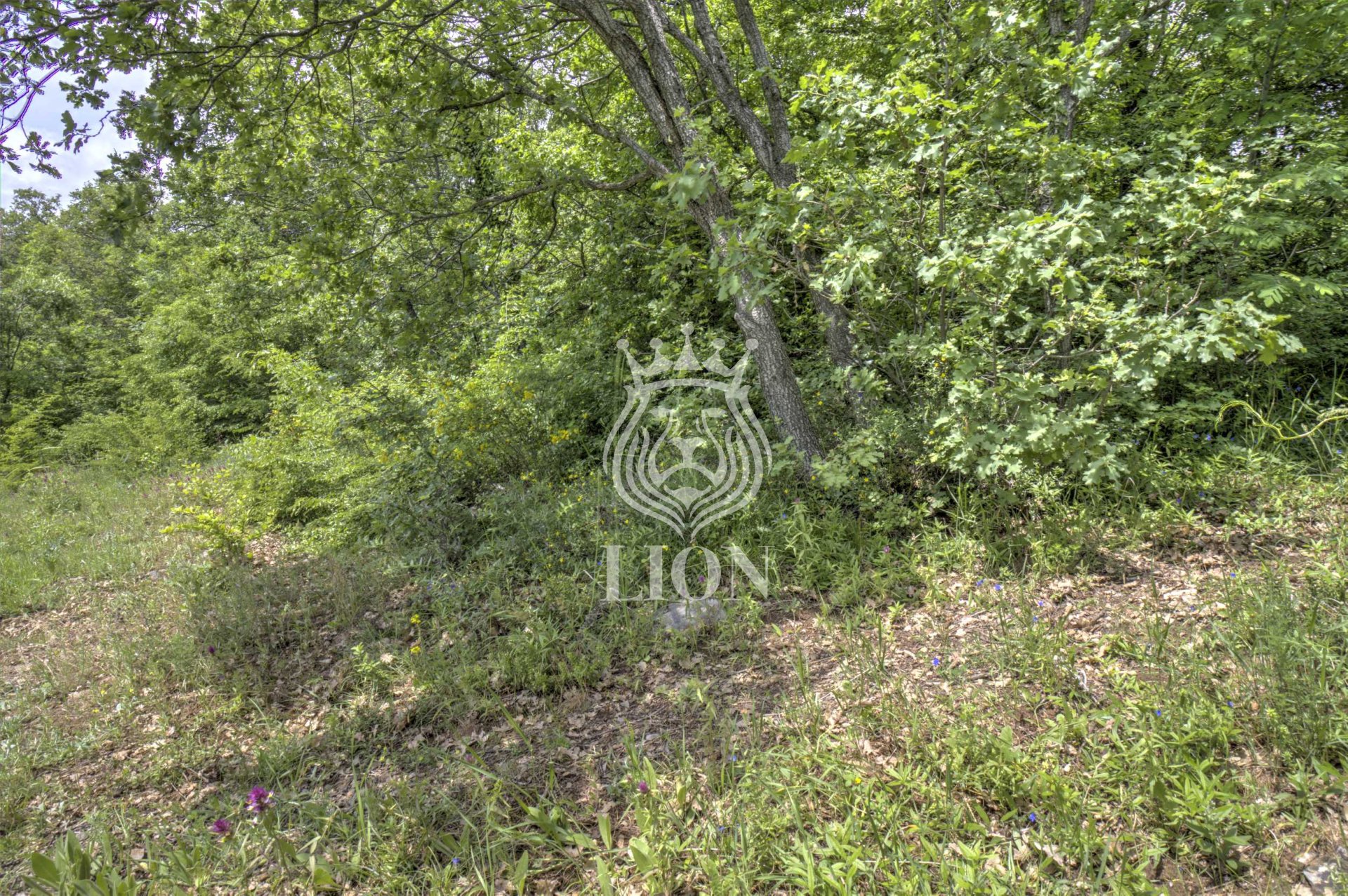 Участок 6 сот. ИЖС, Малый Маяк — фото 4