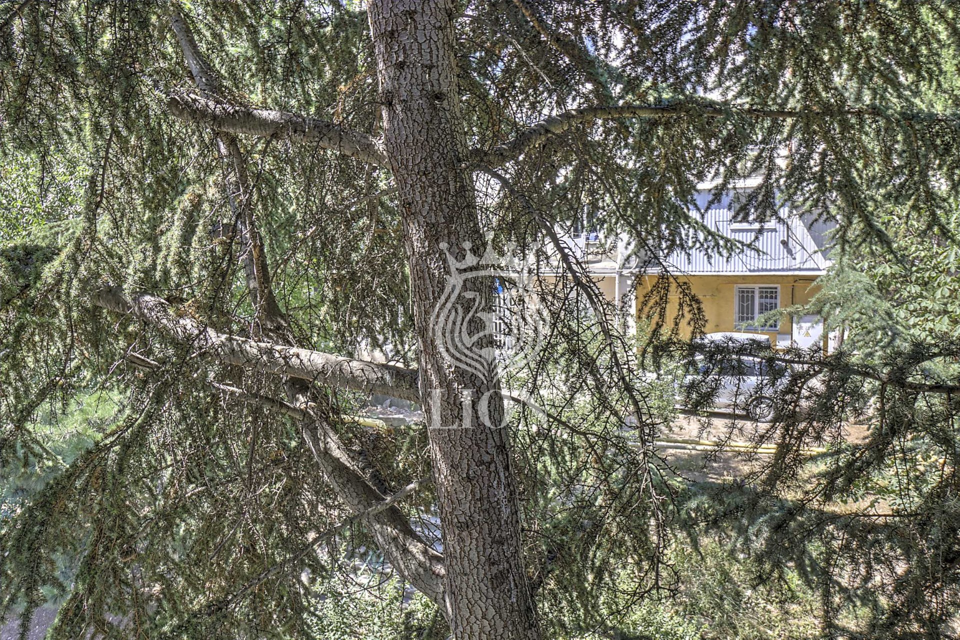 1-к квартира 18.5 м² 3/4 эт., Туристов — фото 15