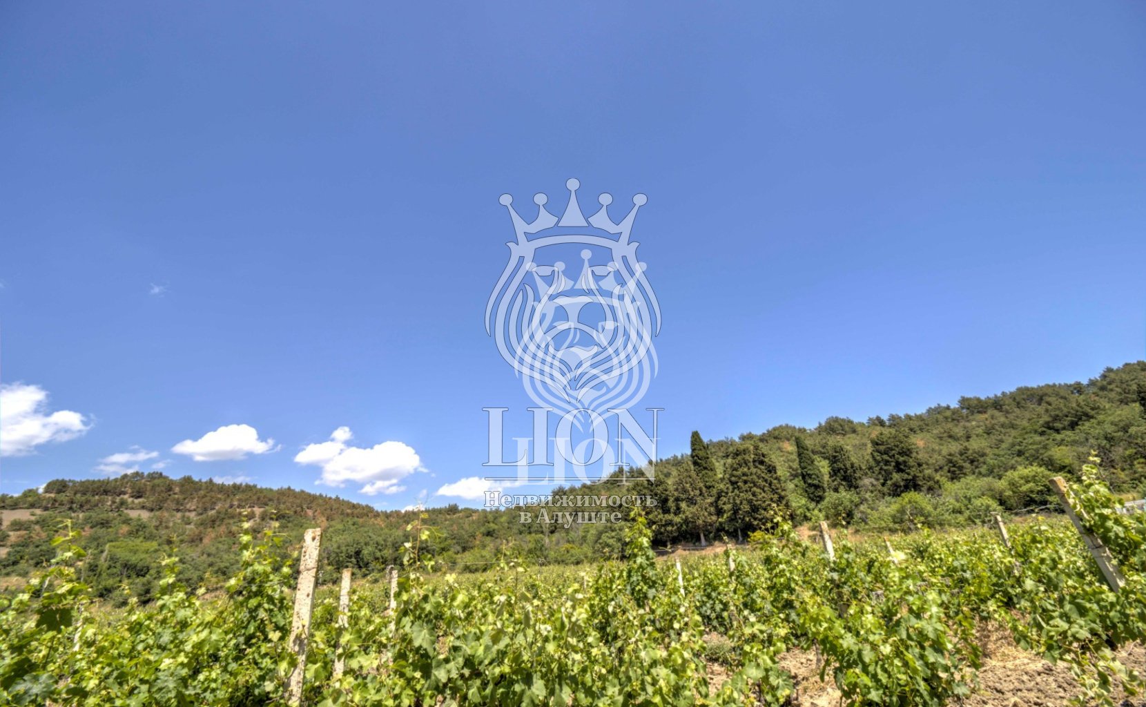 Участок 22 сот. ИЖС, Нижняя Кутузовка — фото 2