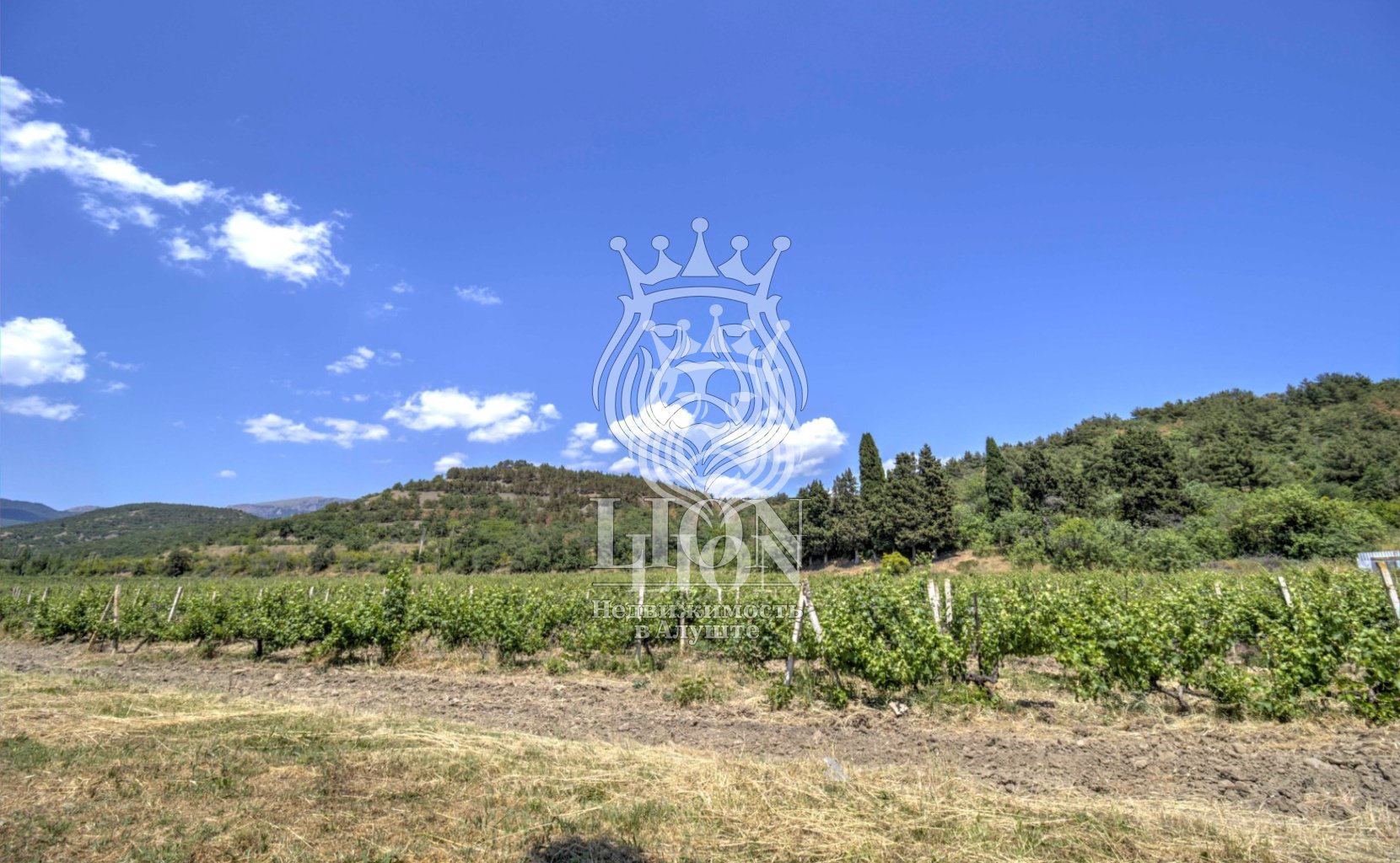 Участок 22 сот. ИЖС, Нижняя Кутузовка — фото 4