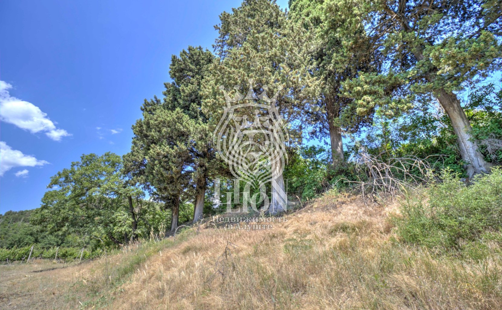 Участок 22 сот. ИЖС, Нижняя Кутузовка — фото 5