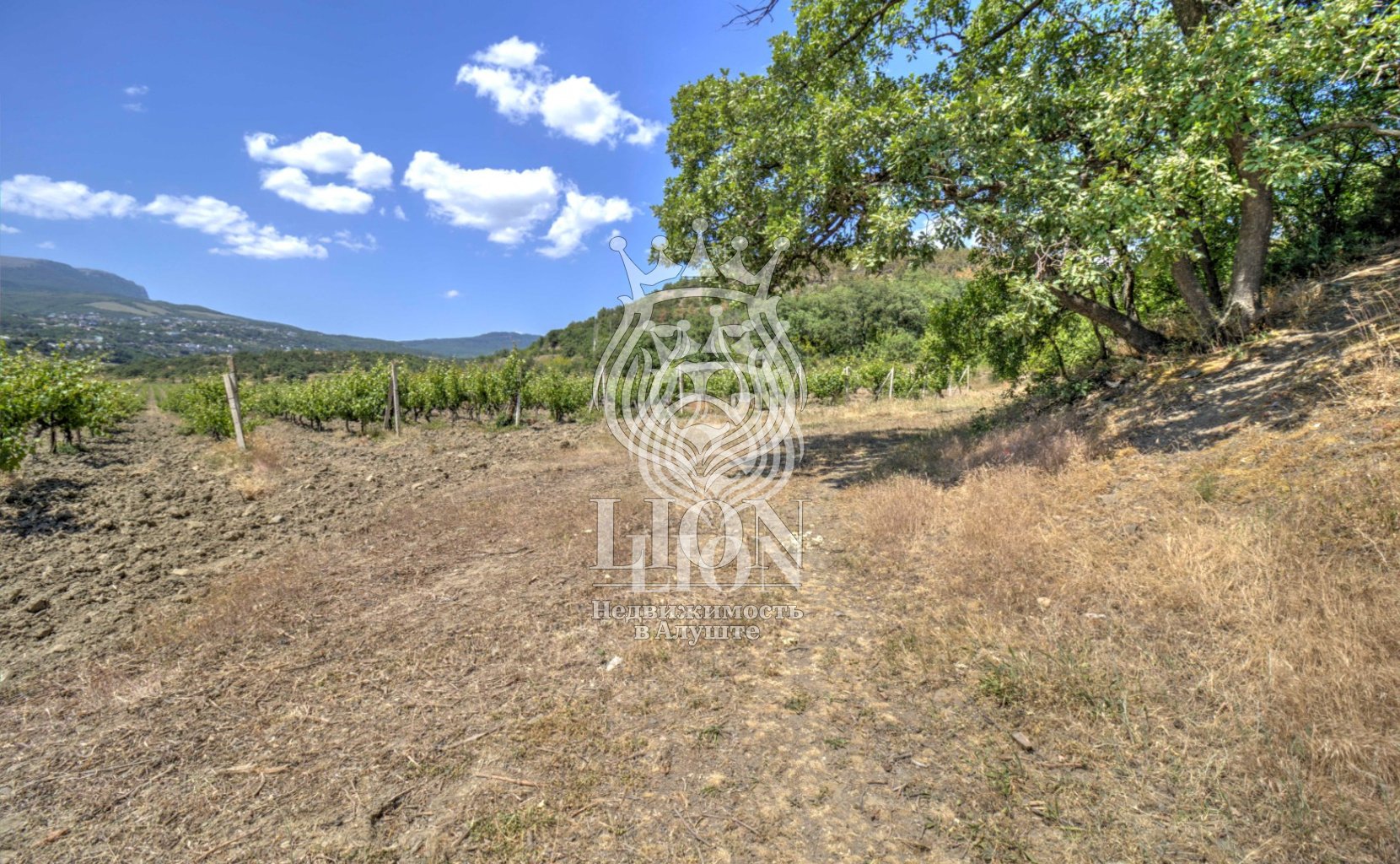 Участок 22 сот. ИЖС, Нижняя Кутузовка — фото 6