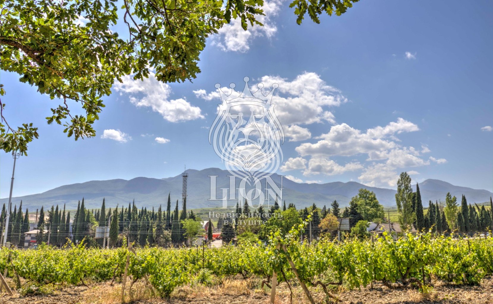 Участок 22 сот. ИЖС, Нижняя Кутузовка — фото 7