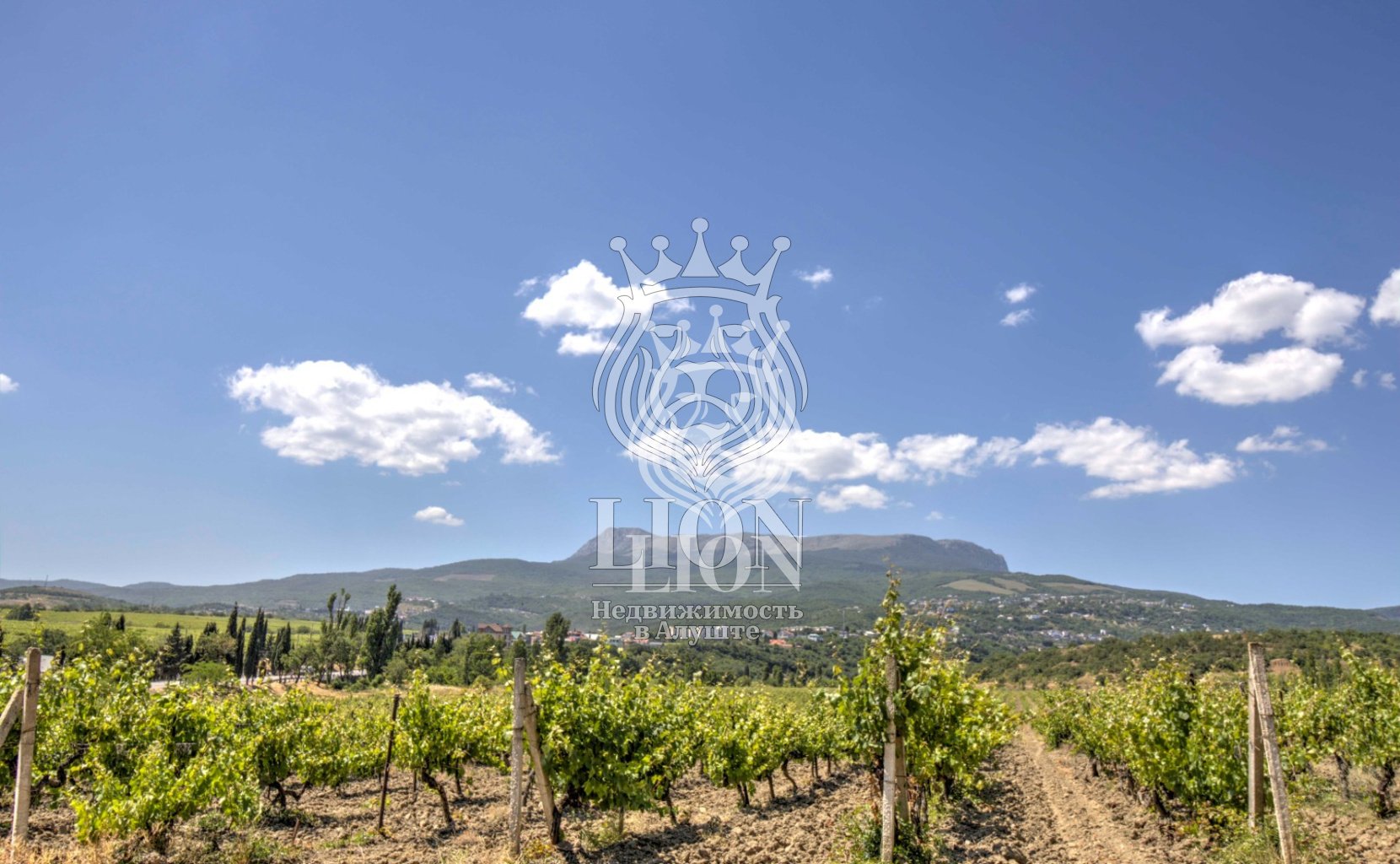 Участок 22 сот. ИЖС, Нижняя Кутузовка — фото 8