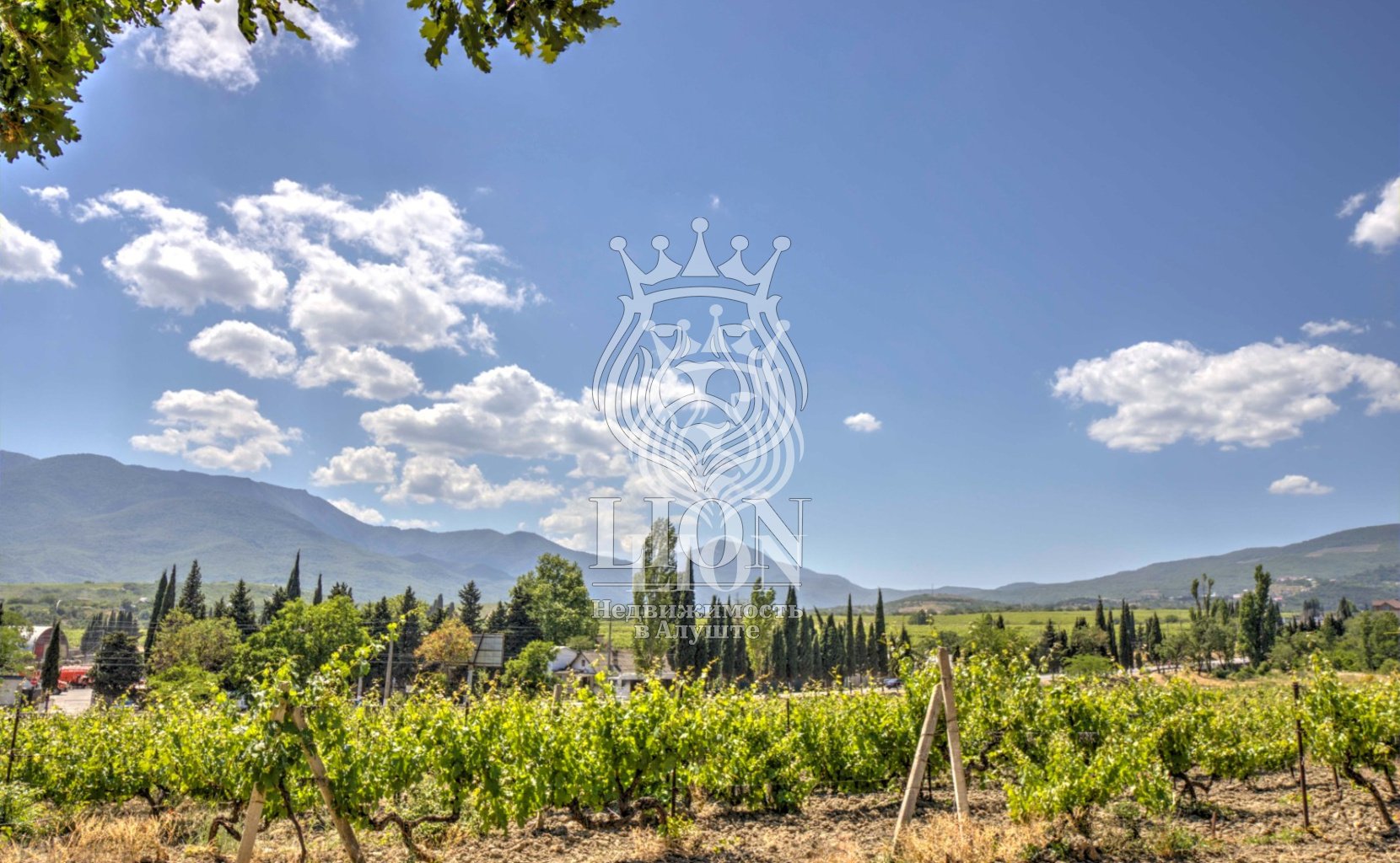 Участок 22 сот. ИЖС, Нижняя Кутузовка — фото 9