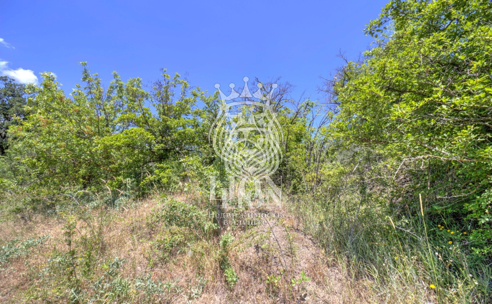 Участок 22 сот. ИЖС, Нижняя Кутузовка — фото 10