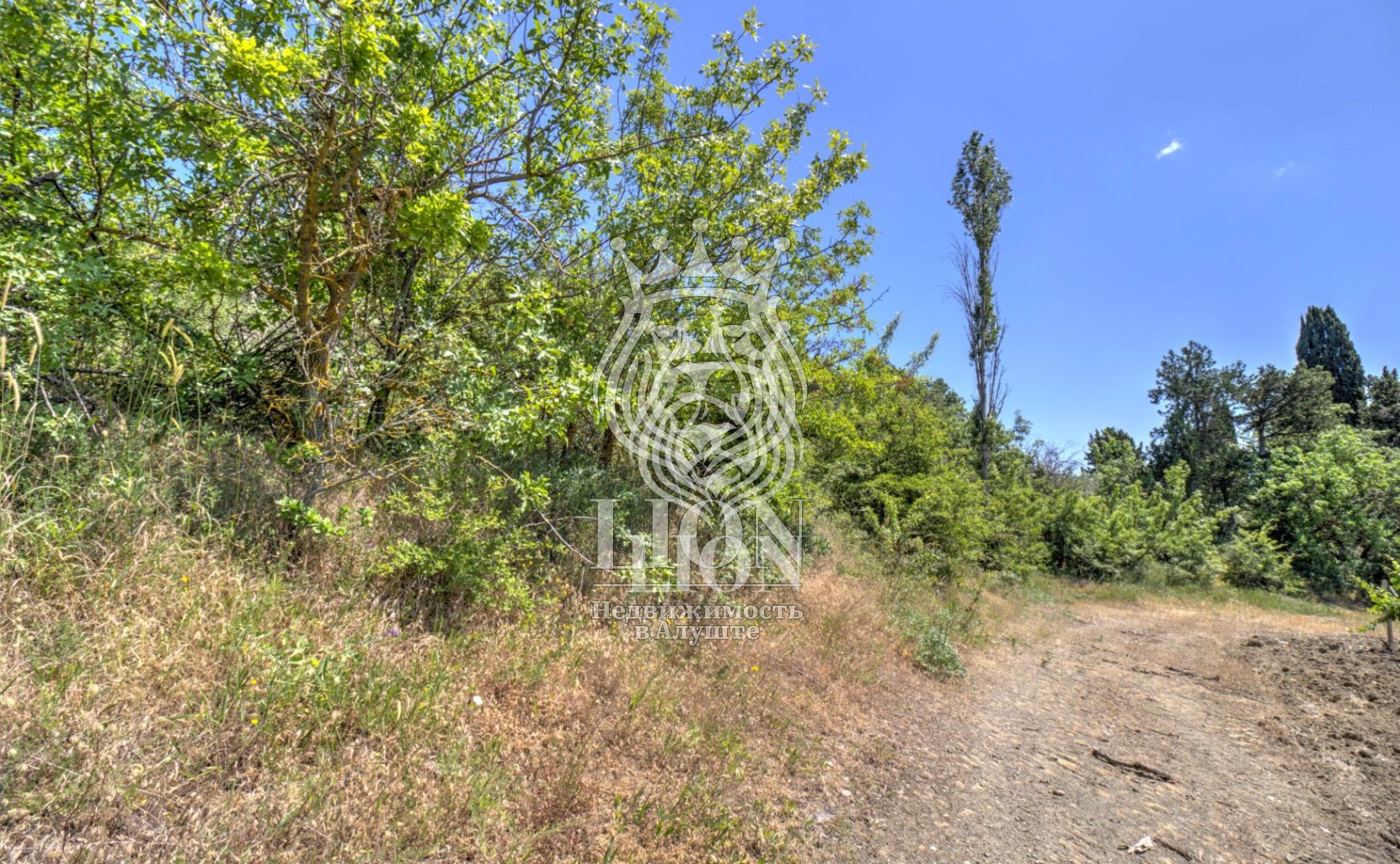 Участок 22 сот. ИЖС, Нижняя Кутузовка — фото 11