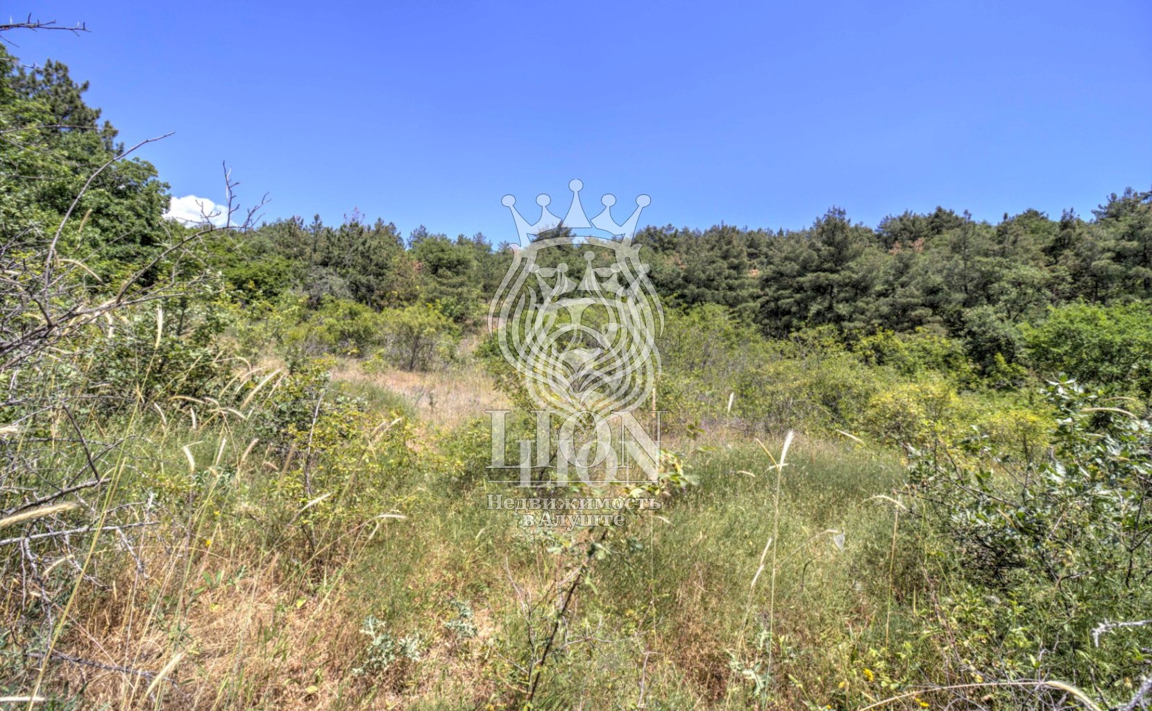 Участок 22 сот. ИЖС, Нижняя Кутузовка — фото 12