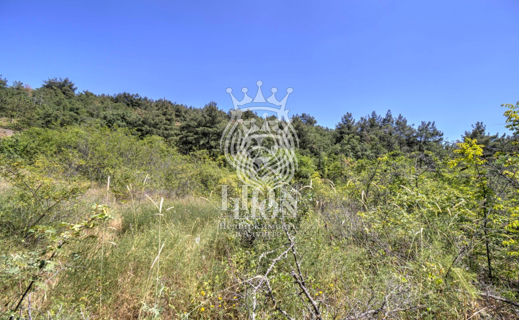 Участок 22 сот. ИЖС, Нижняя Кутузовка — фото 13