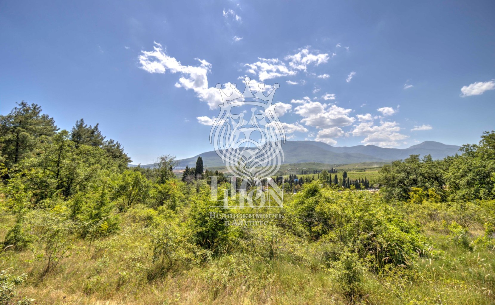 Участок 22 сот. ИЖС, Нижняя Кутузовка — фото 14