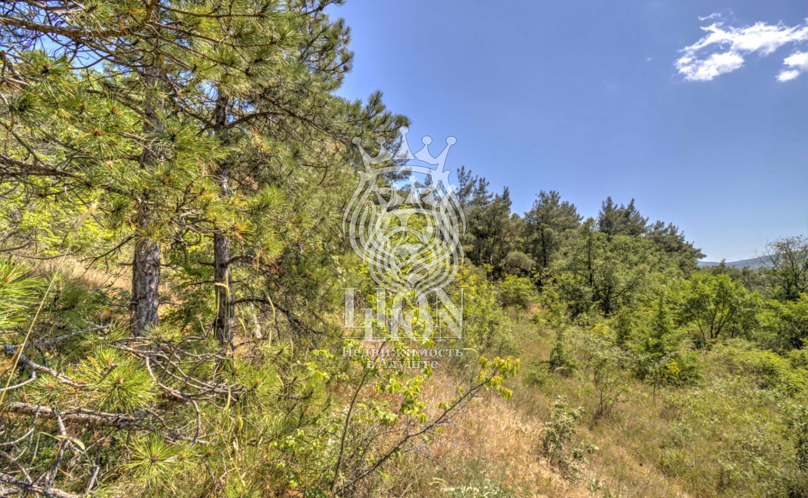 Участок 22 сот. ИЖС, Нижняя Кутузовка — фото 15