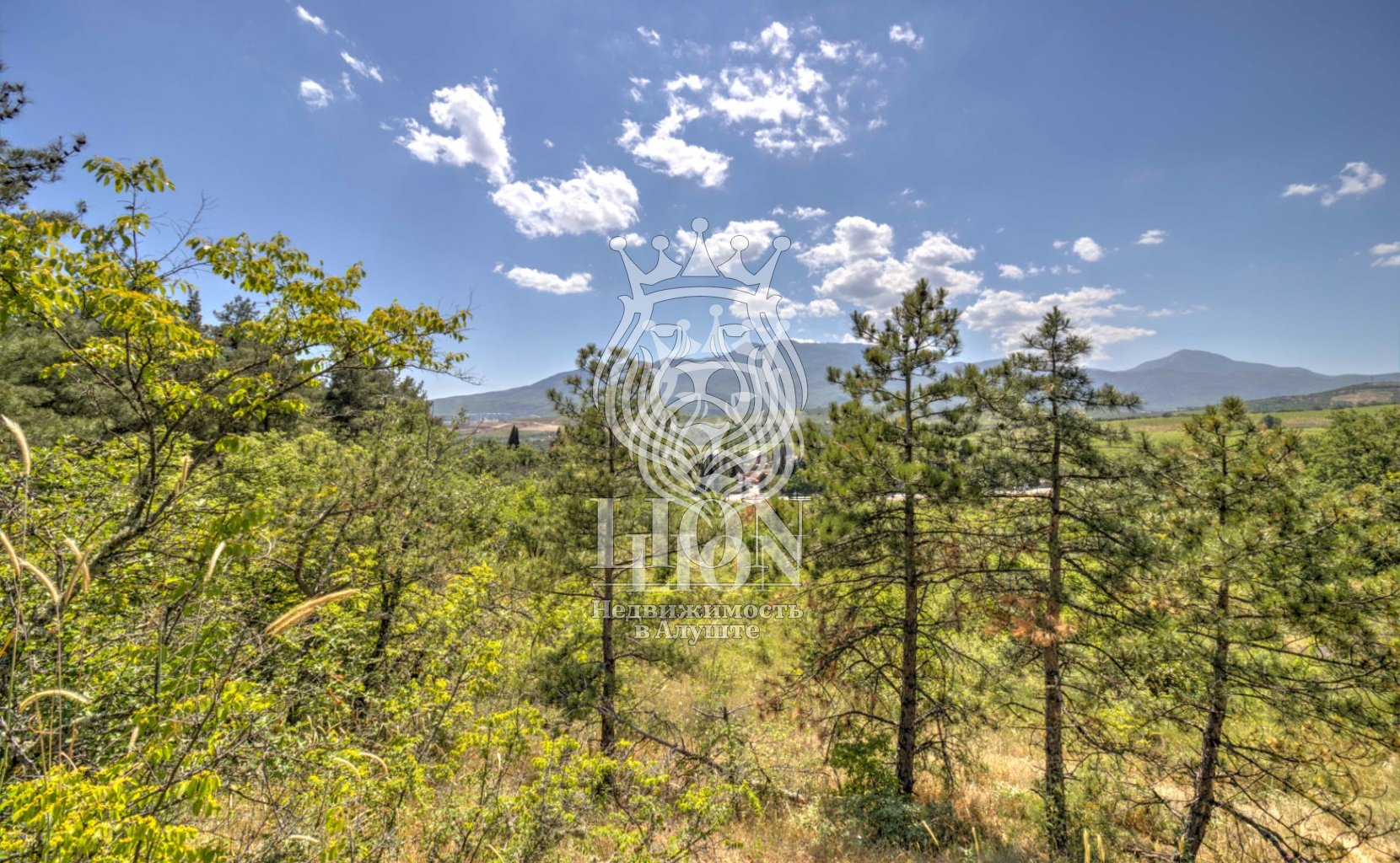 Участок 22 сот. ИЖС, Нижняя Кутузовка — фото 19