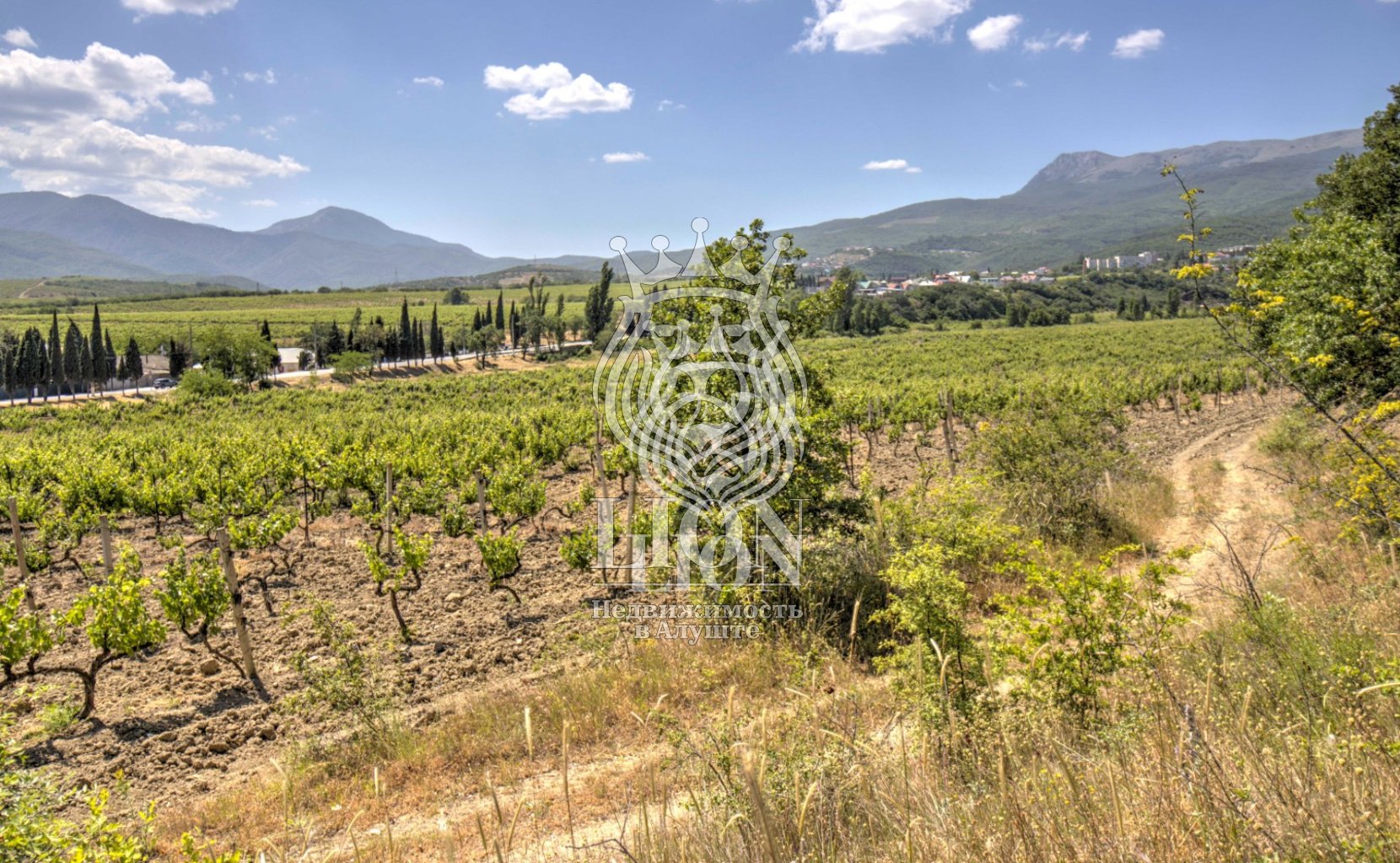 Участок 22 сот. ИЖС, Нижняя Кутузовка — фото 24