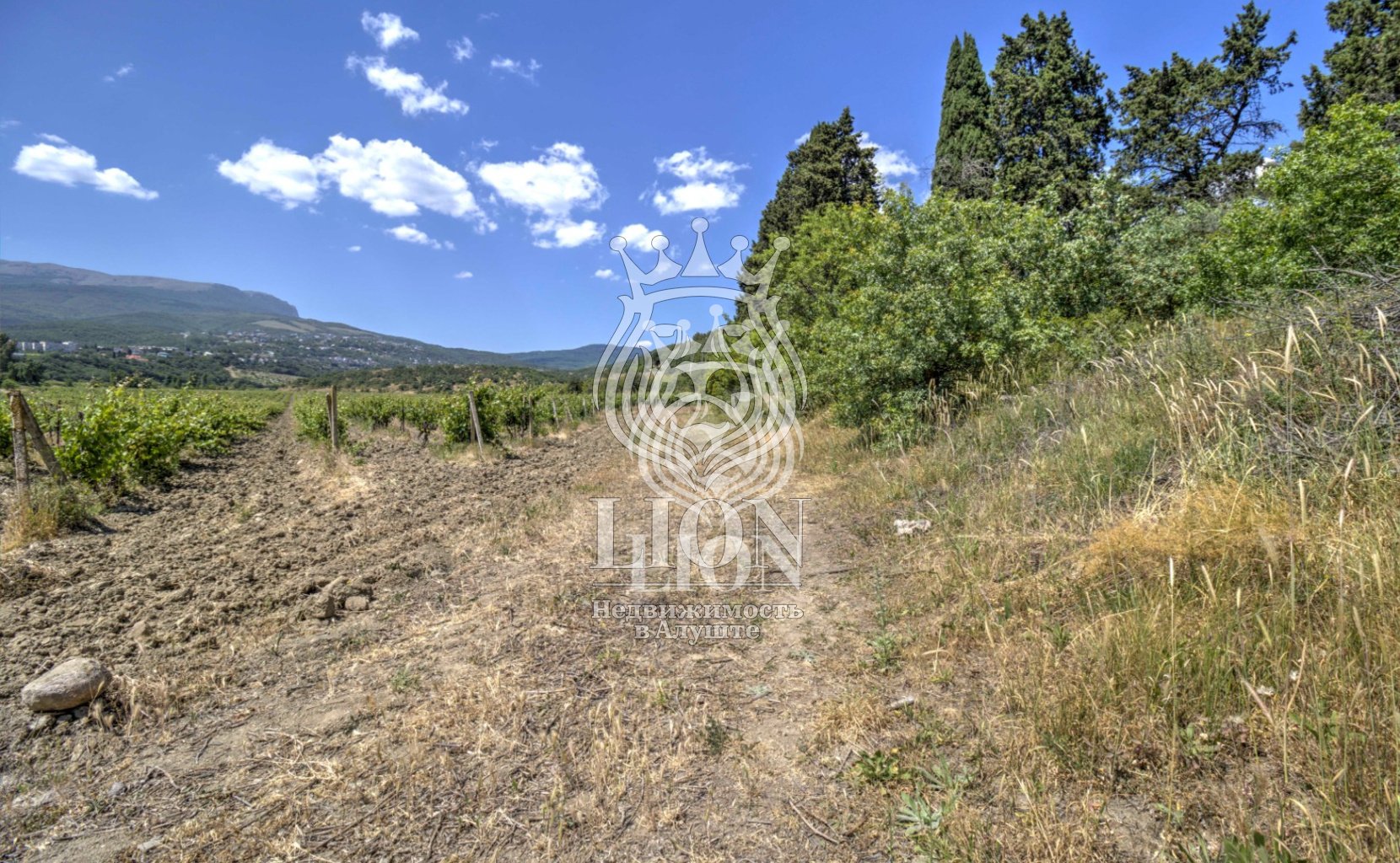 Участок 22 сот. ИЖС, Нижняя Кутузовка — фото 26