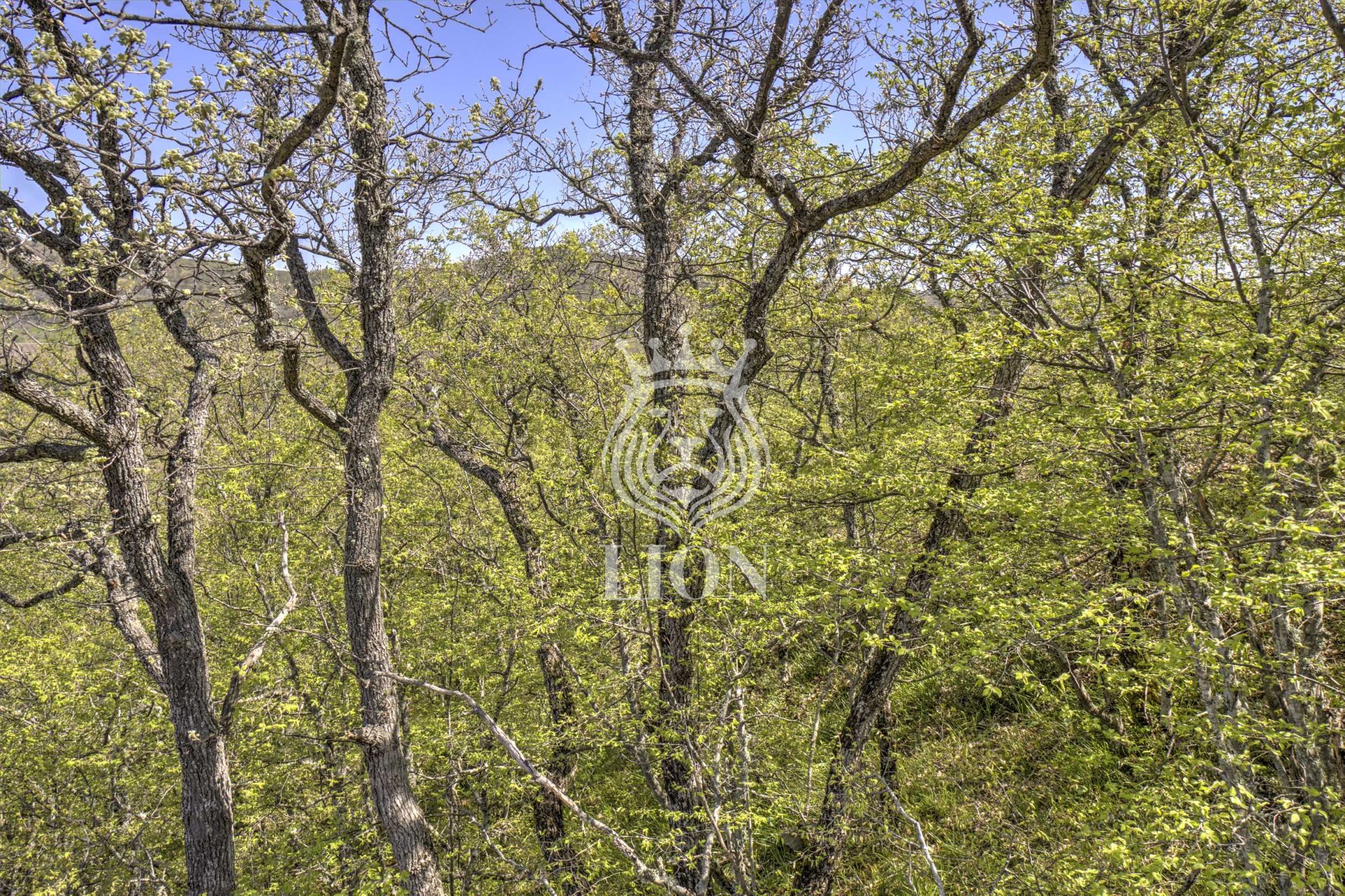 Дом 150 м² на 7.5 сот., Алушта — фото 29