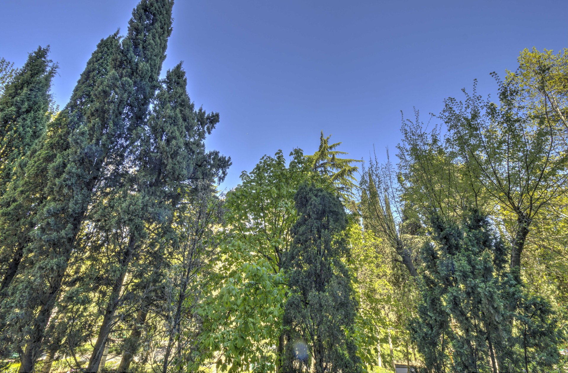 3-к апартаменты 137.6 м² 2/9 эт., Парковая — фото 18