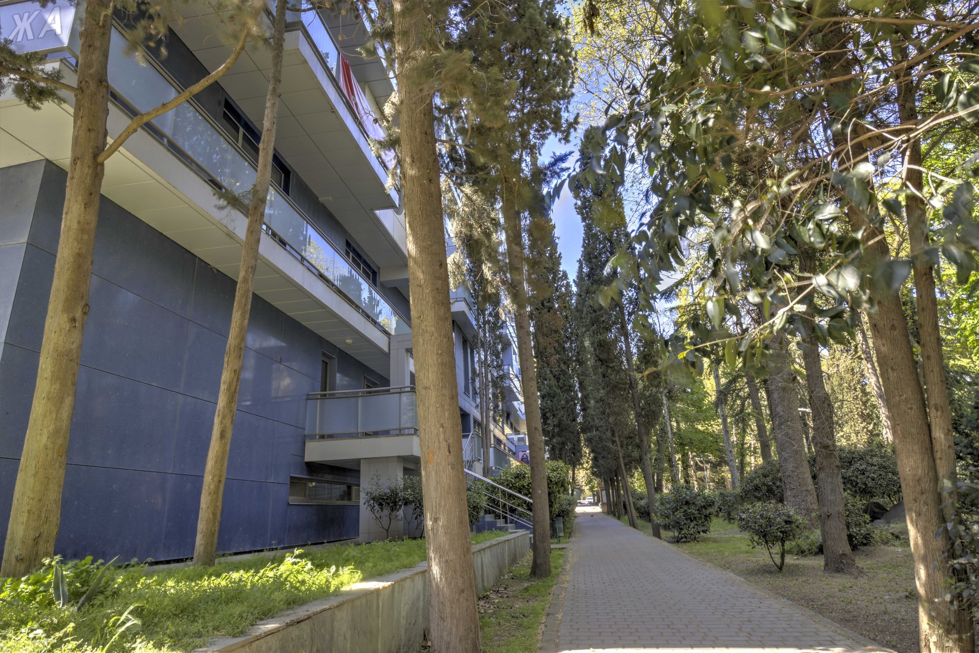 3-к апартаменты 137.6 м² 2/9 эт., Парковая — фото 55