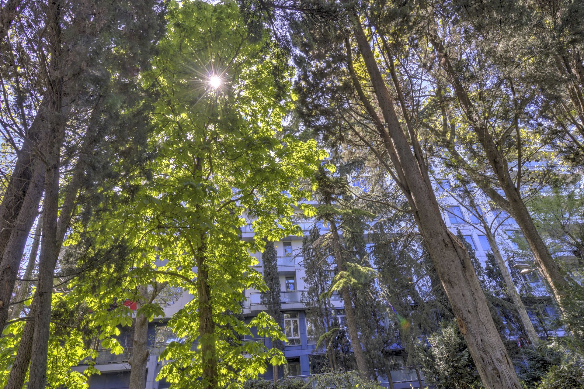 3-к апартаменты 137.6 м² 2/9 эт., Парковая — фото 63