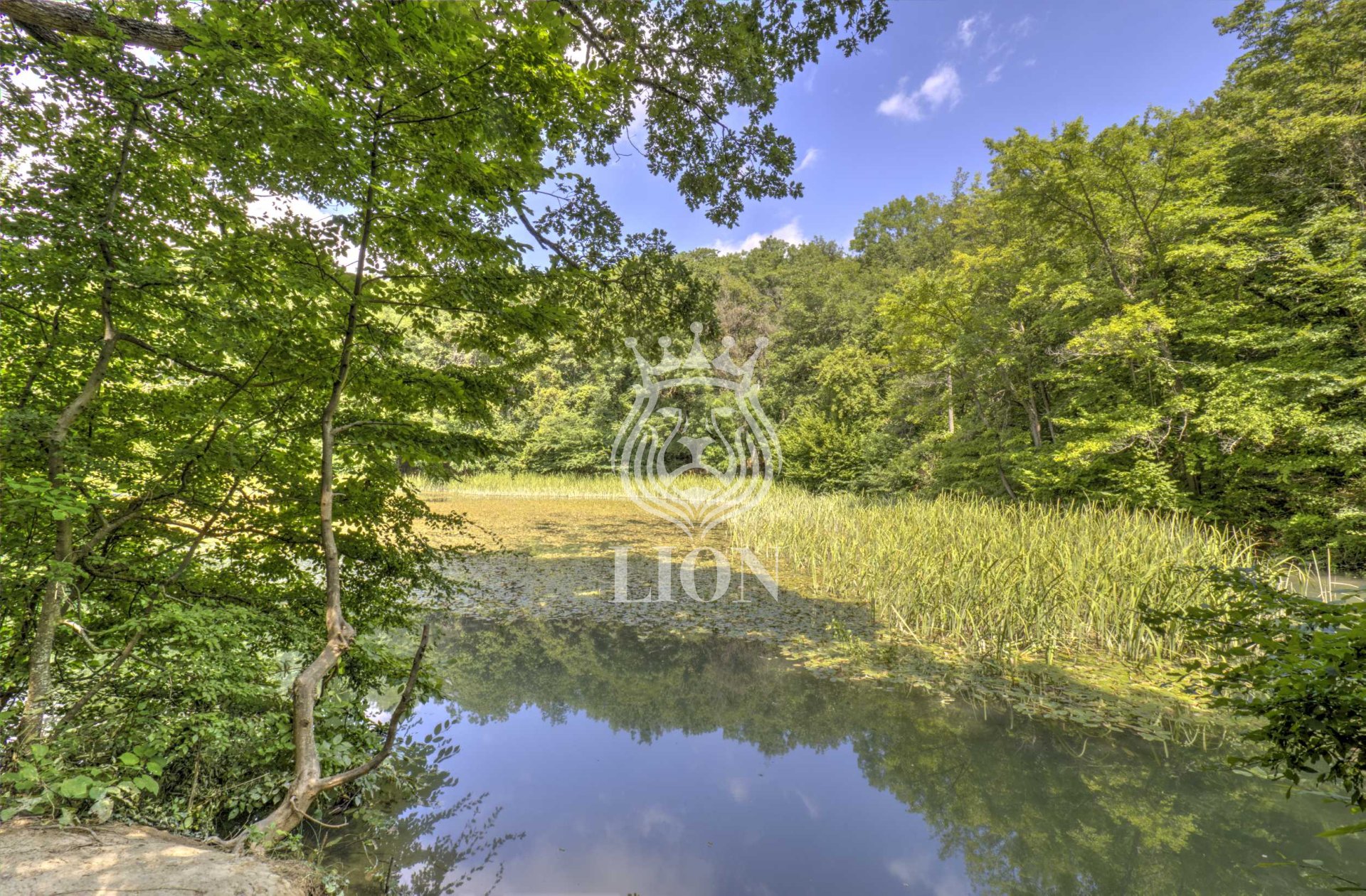 Дом 750 м² на 117 сот., Розовый — фото 81