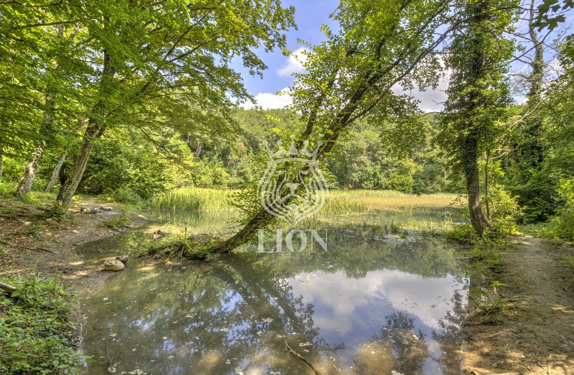 Дом 750 м² на 117 сот., Розовый — фото 84