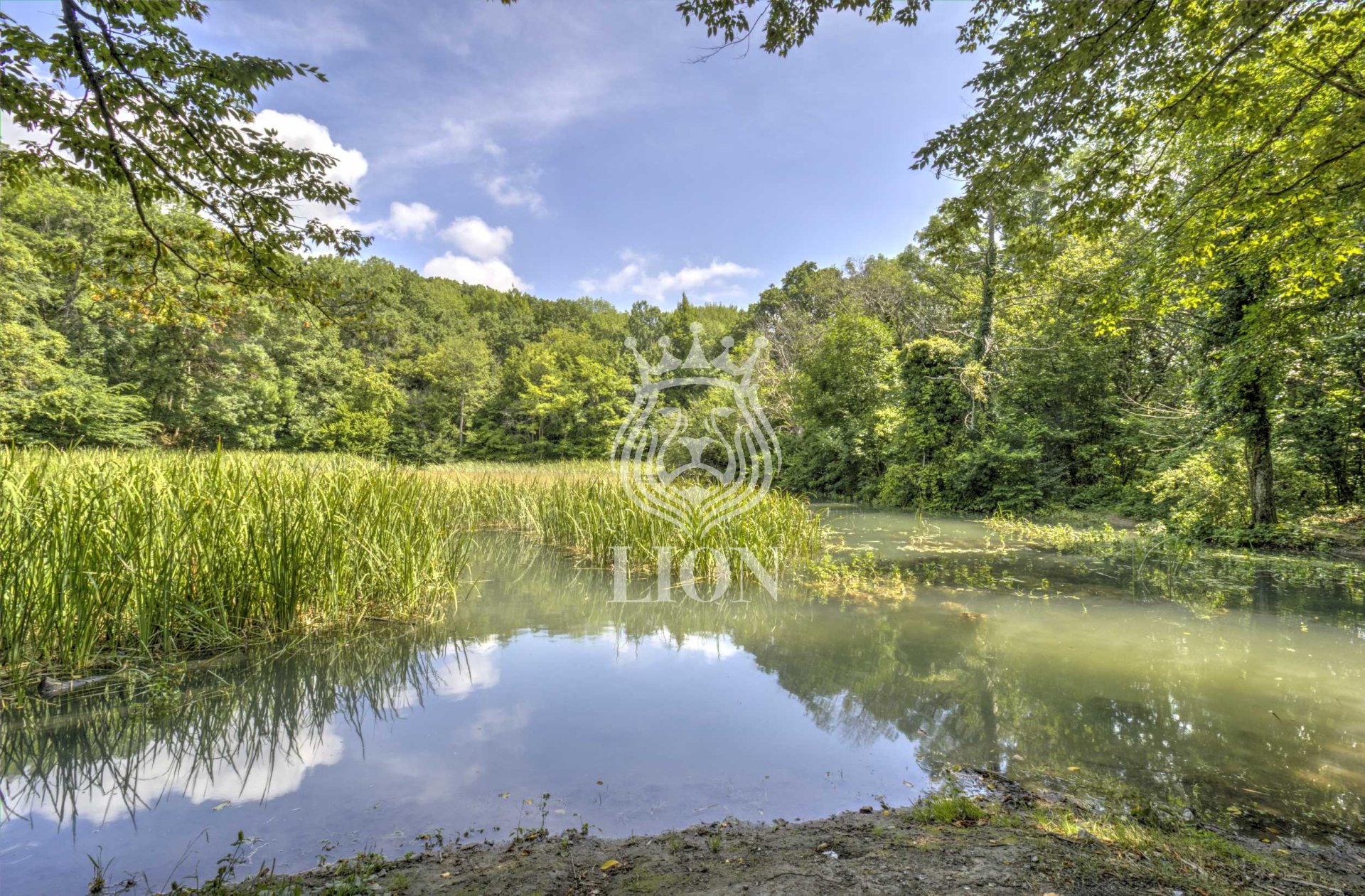 Дом 750 м² на 117 сот., Розовый — фото 85