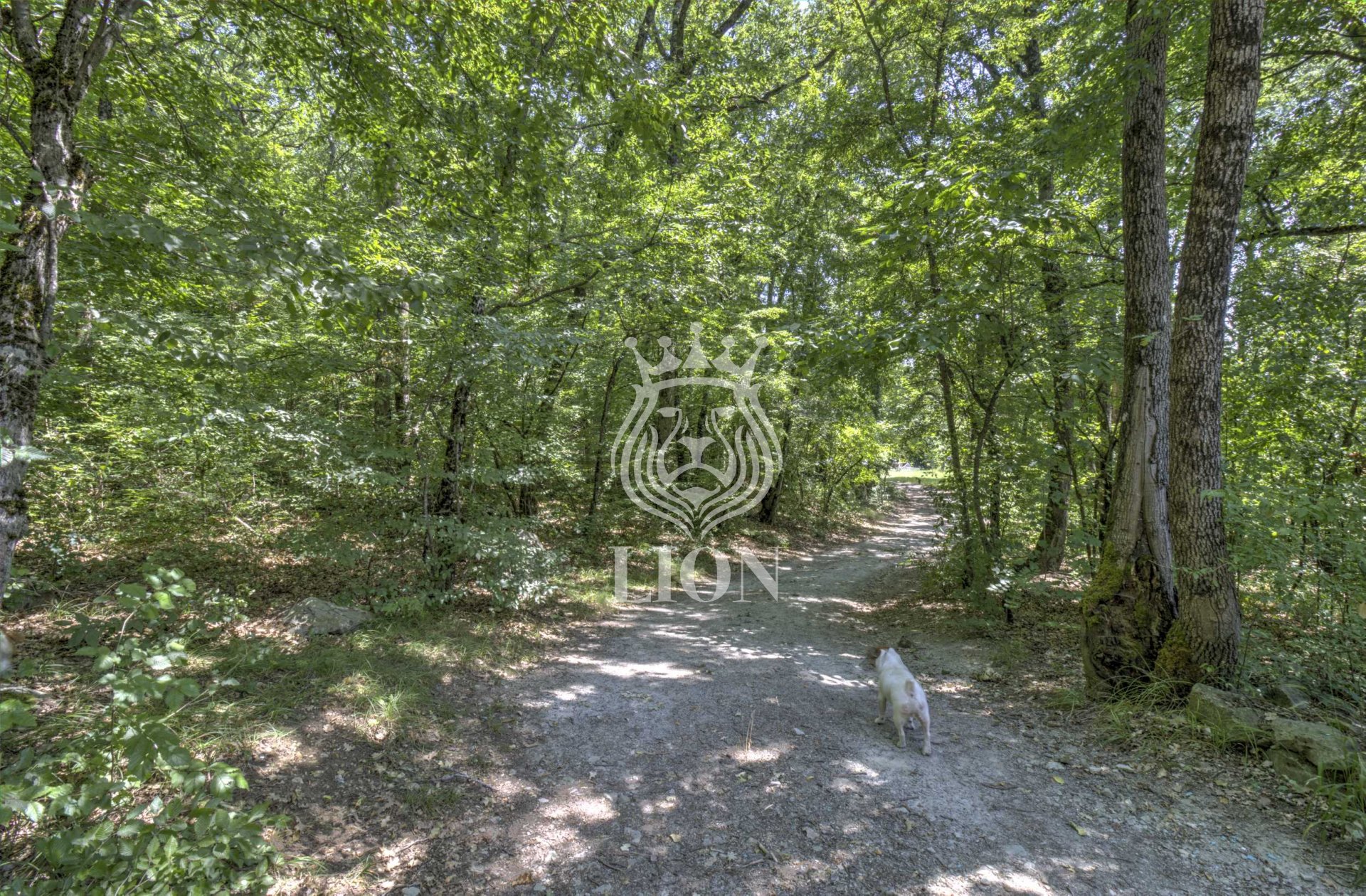 Дом 750 м² на 117 сот., Розовый — фото 170