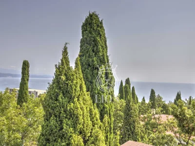 Коммерческая 550 м², Алушта — миниатюра 69