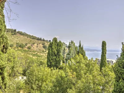 Коммерческая 550 м², Алушта — миниатюра 74