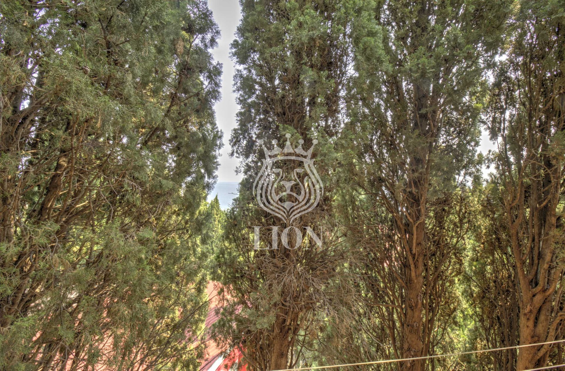 Коммерческая 550 м², Алушта — фото 129