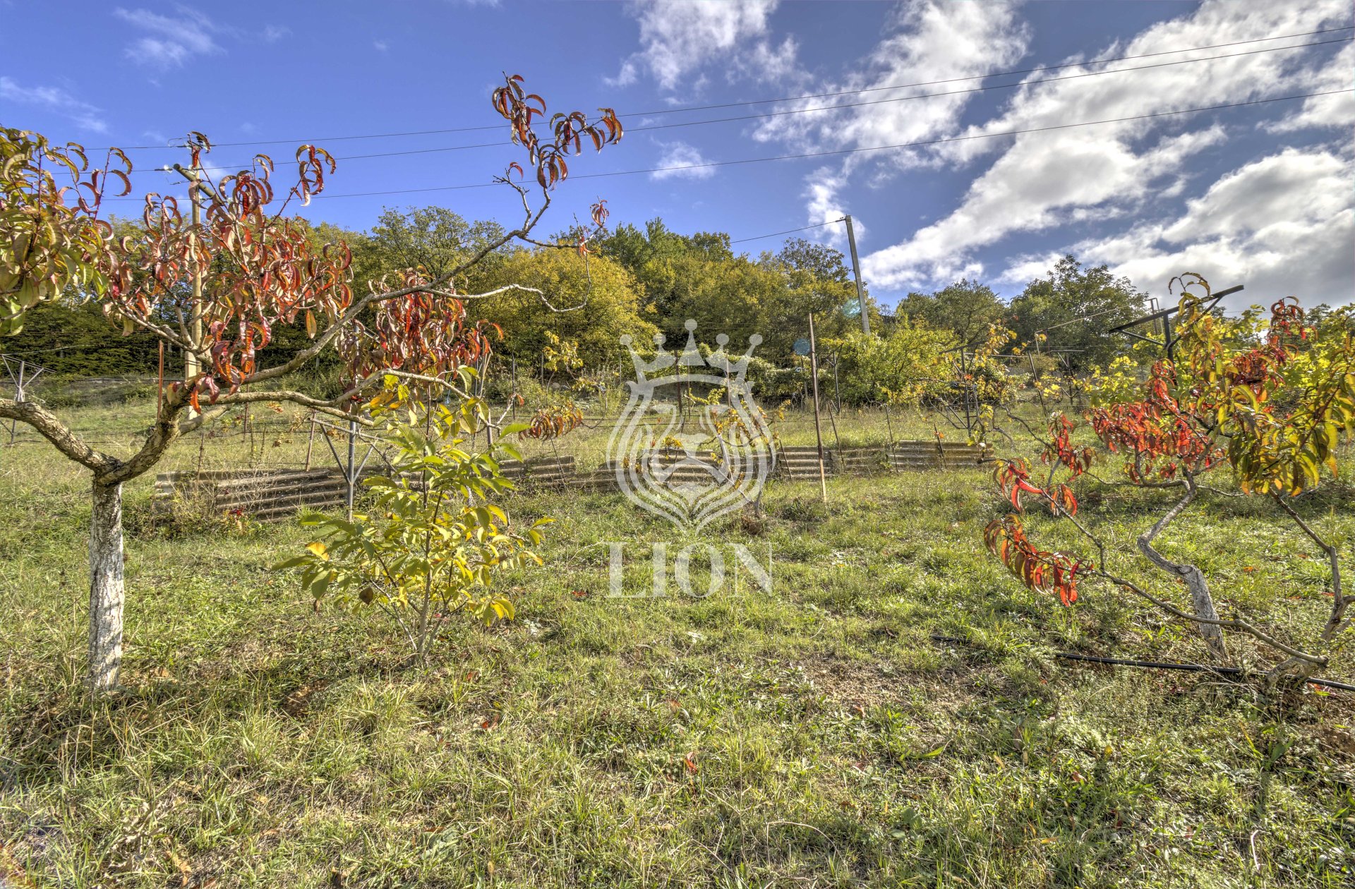 Дом 67 м² на 20 сот., Лучистое — фото 8