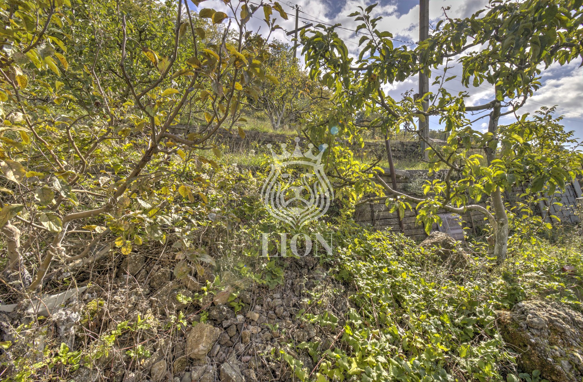 Дом 67 м² на 20 сот., Лучистое — фото 11