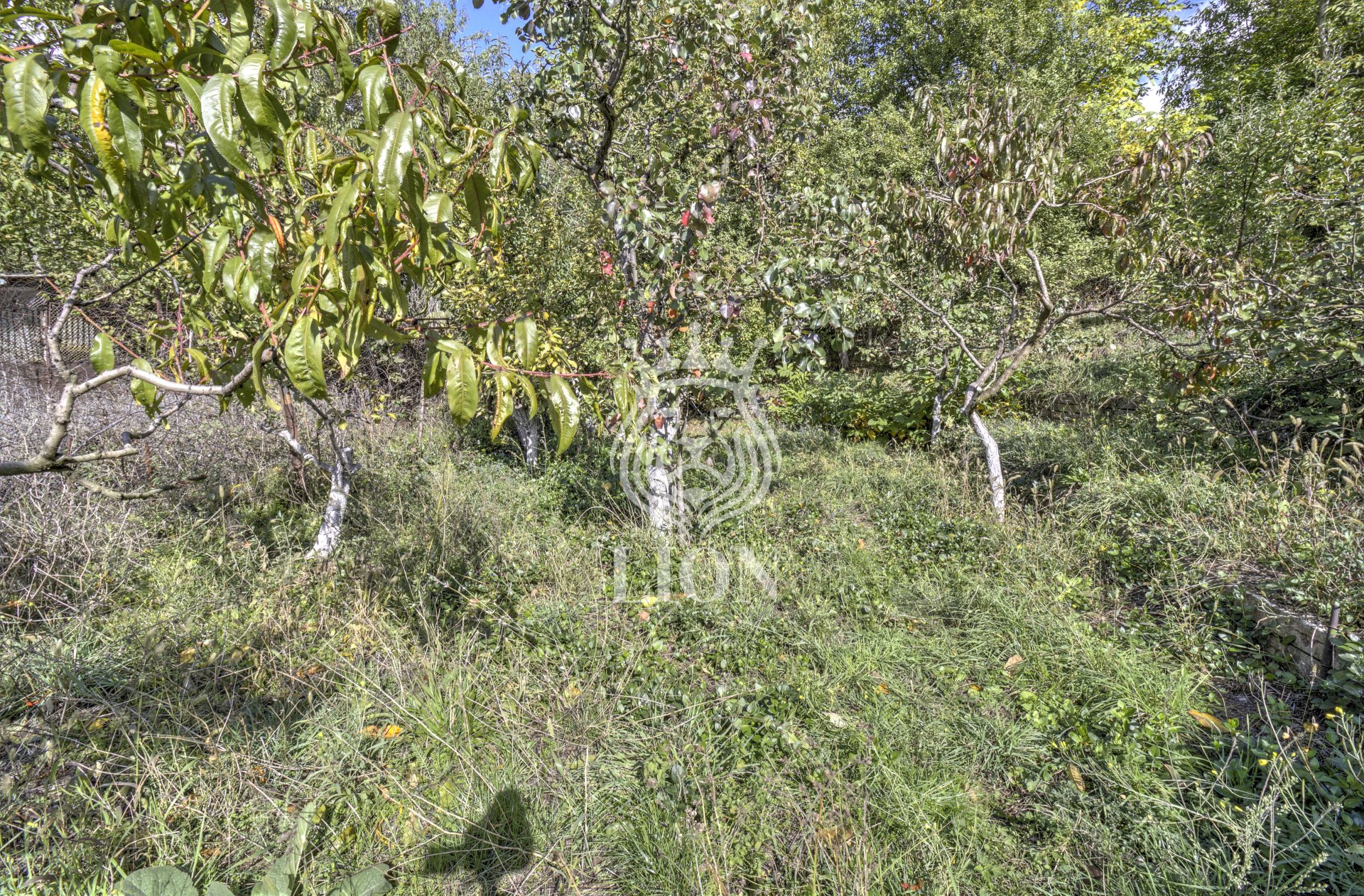 Дом 67 м² на 20 сот., Лучистое — фото 17