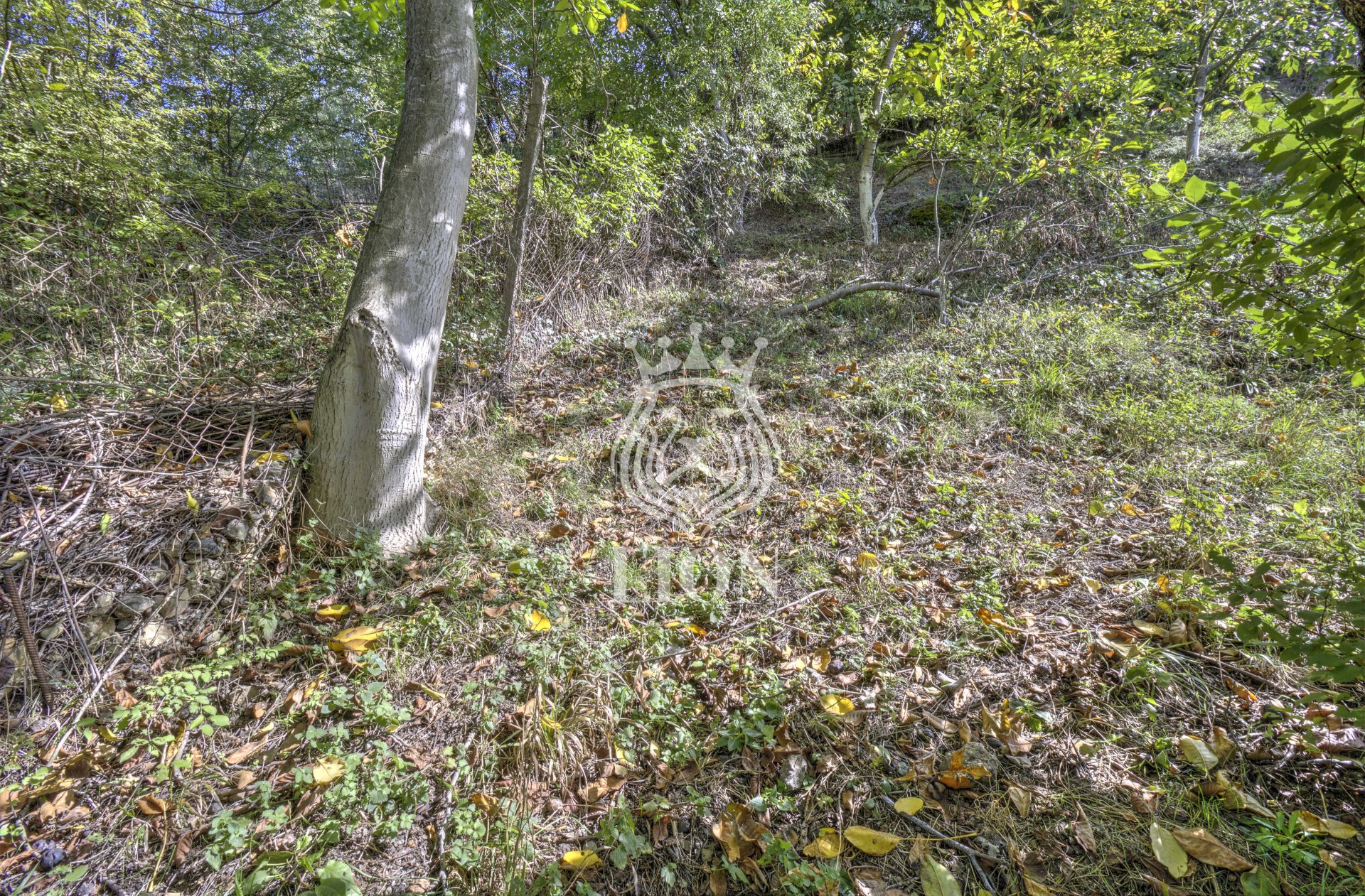 Дом 67 м² на 20 сот., Лучистое — фото 18