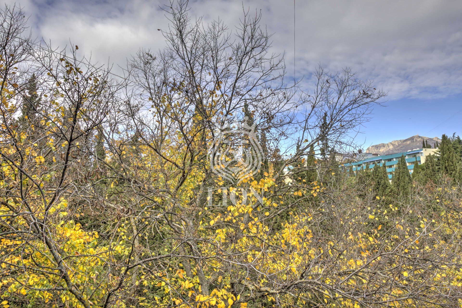 1-к квартира 34 м² 4/5 эт., Платановая — фото 30