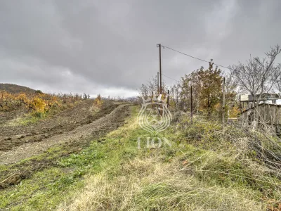 Участок 7.69 сот. ИЖС, Лавровое — миниатюра 4