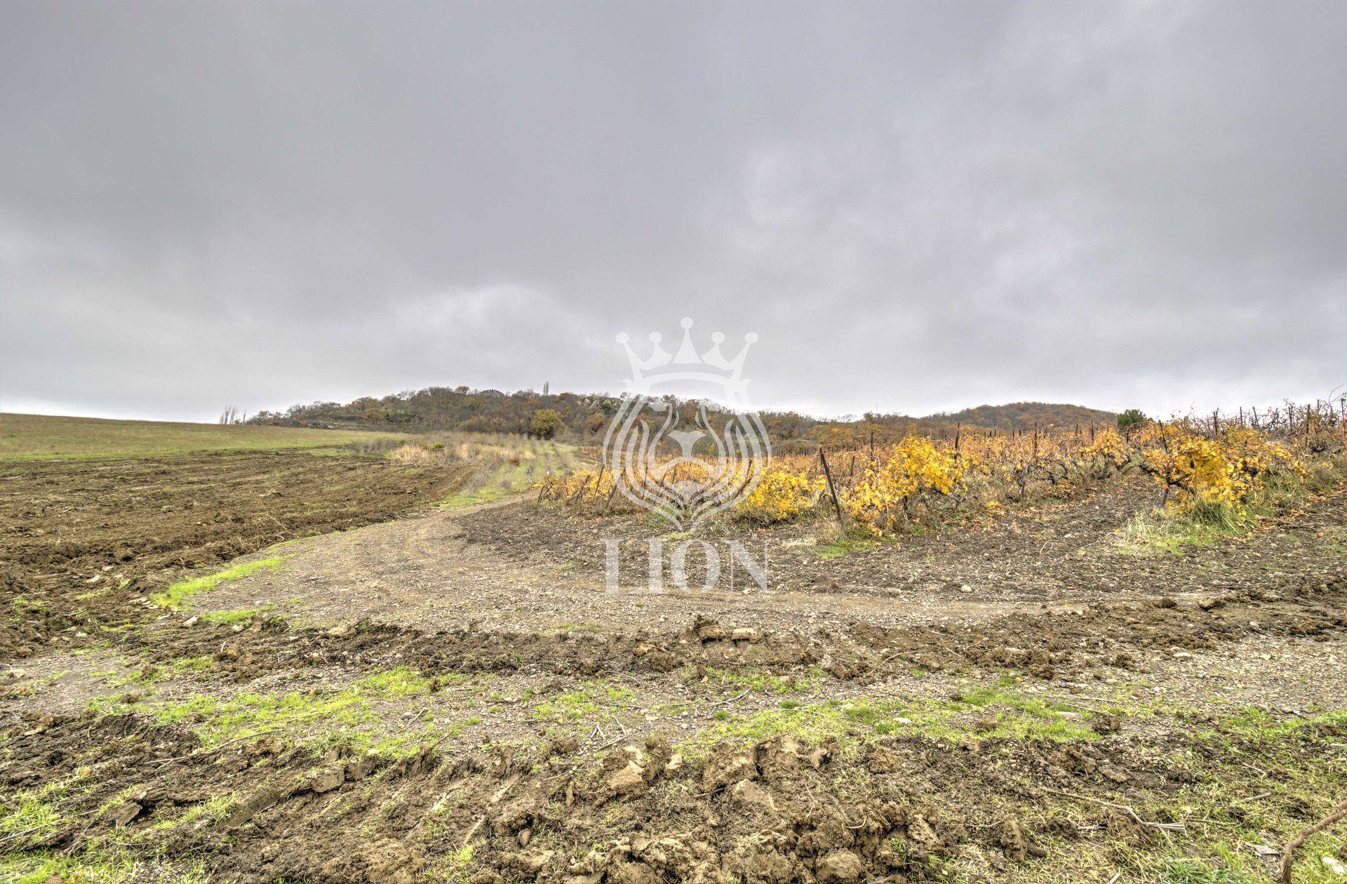 Участок 7.69 сот. ИЖС, Лавровое — фото 3