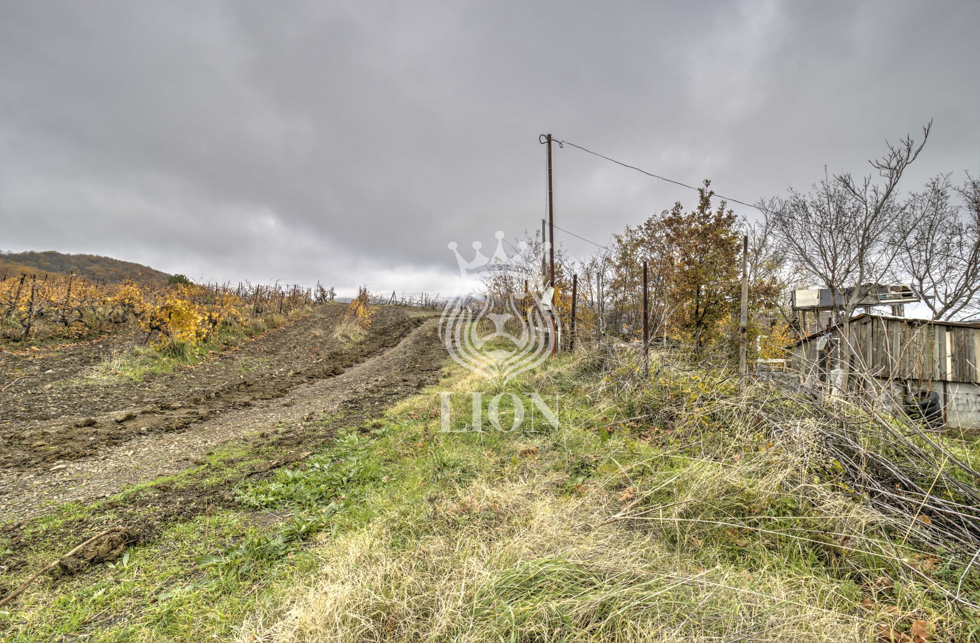 Участок 7.69 сот. ИЖС, Лавровое — фото 4