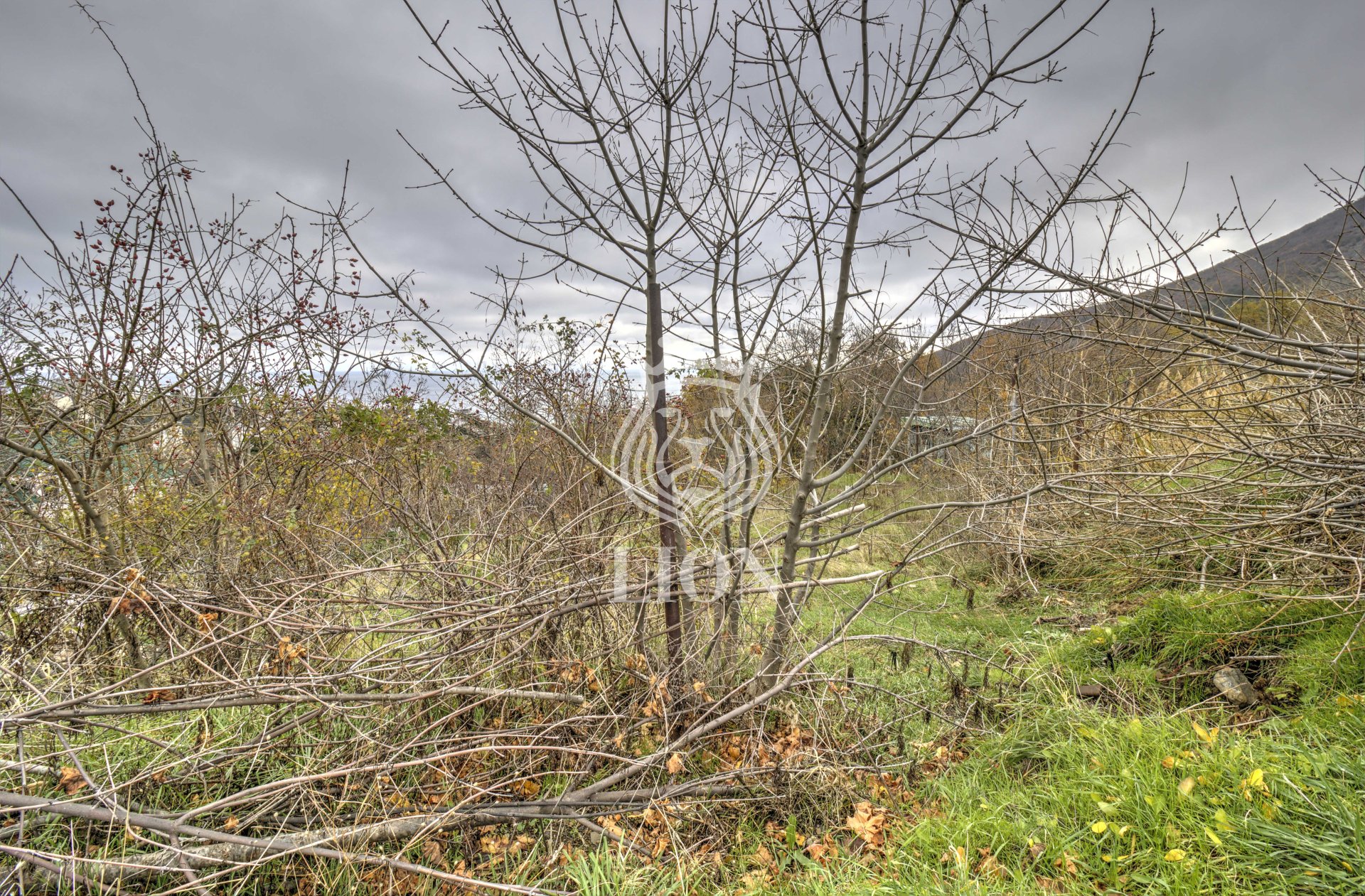 Участок 7.69 сот. ИЖС, Лавровое — фото 7