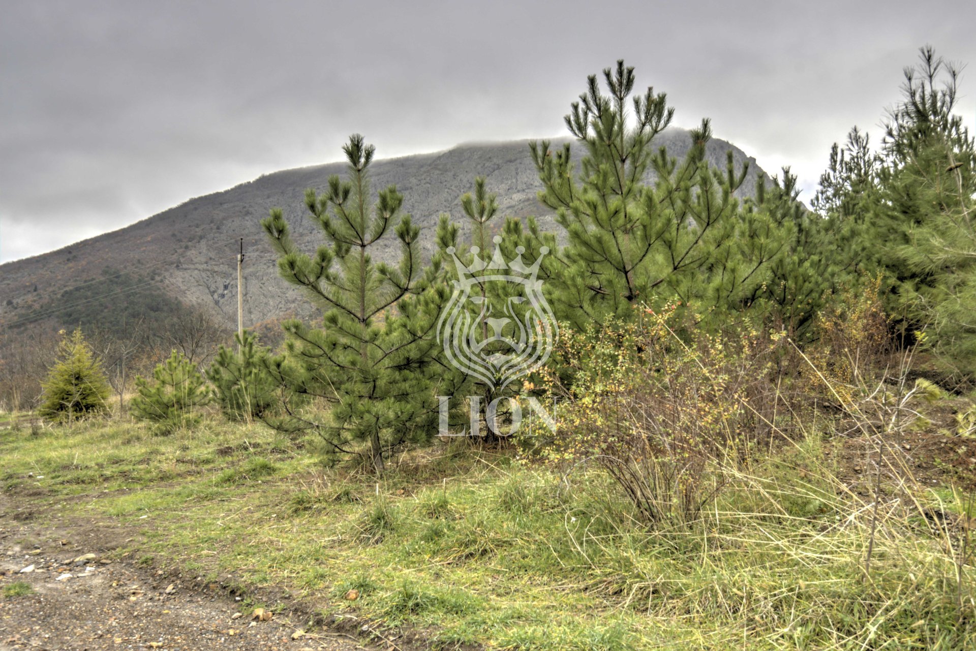 Участок 7.69 сот. ИЖС, Лавровое — фото 12